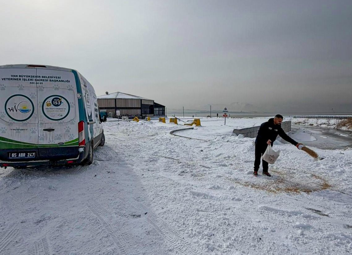 38413633 0Ea2 4D48 Bd7A Df9Ed294800F