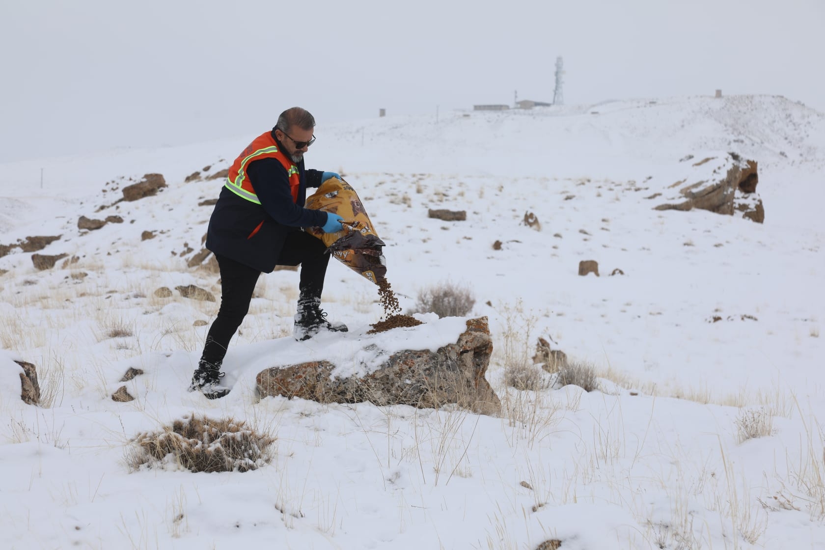 38A50545 Eb13 42D5 B5Bd 1C8E6D247921