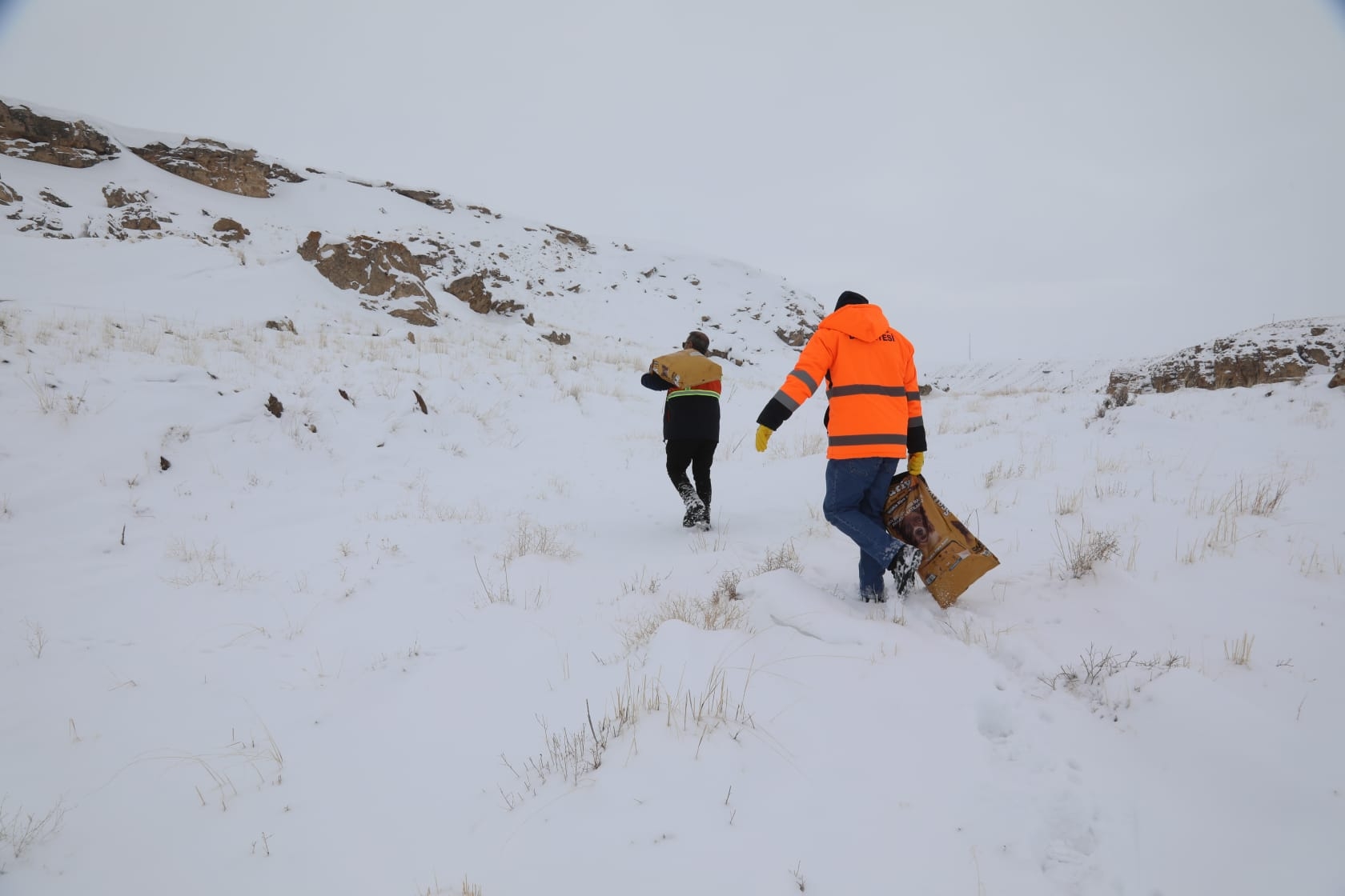 42C4Bcc4 Bf06 49A1 A2Ef 2090A2Ca8362