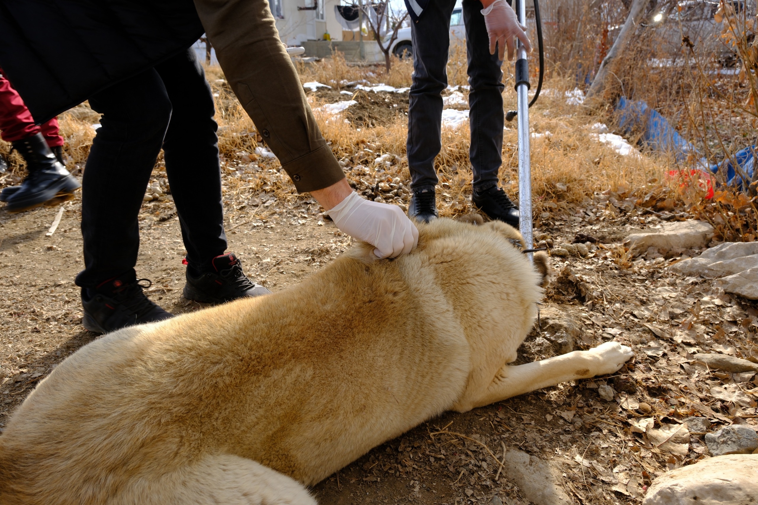 980C5Ad9 D8Ef 49Aa Bb2B Fadcd59B7179