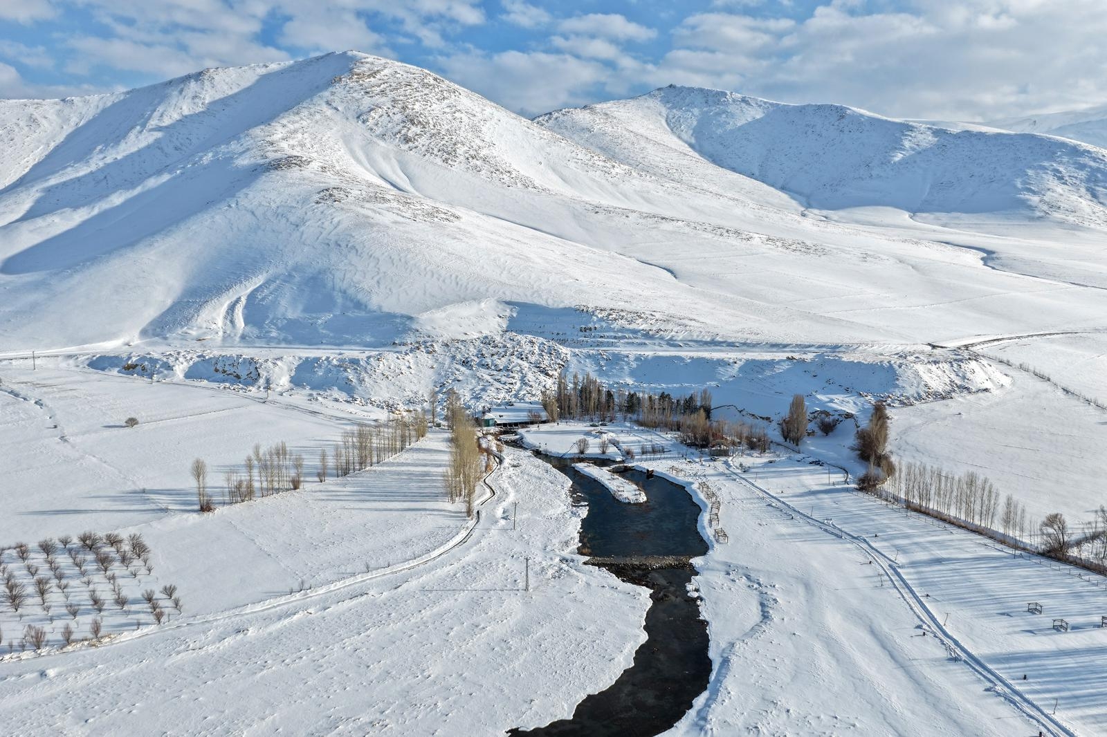 A5Dcf52D 1107 4708 B882 9217Ba232651