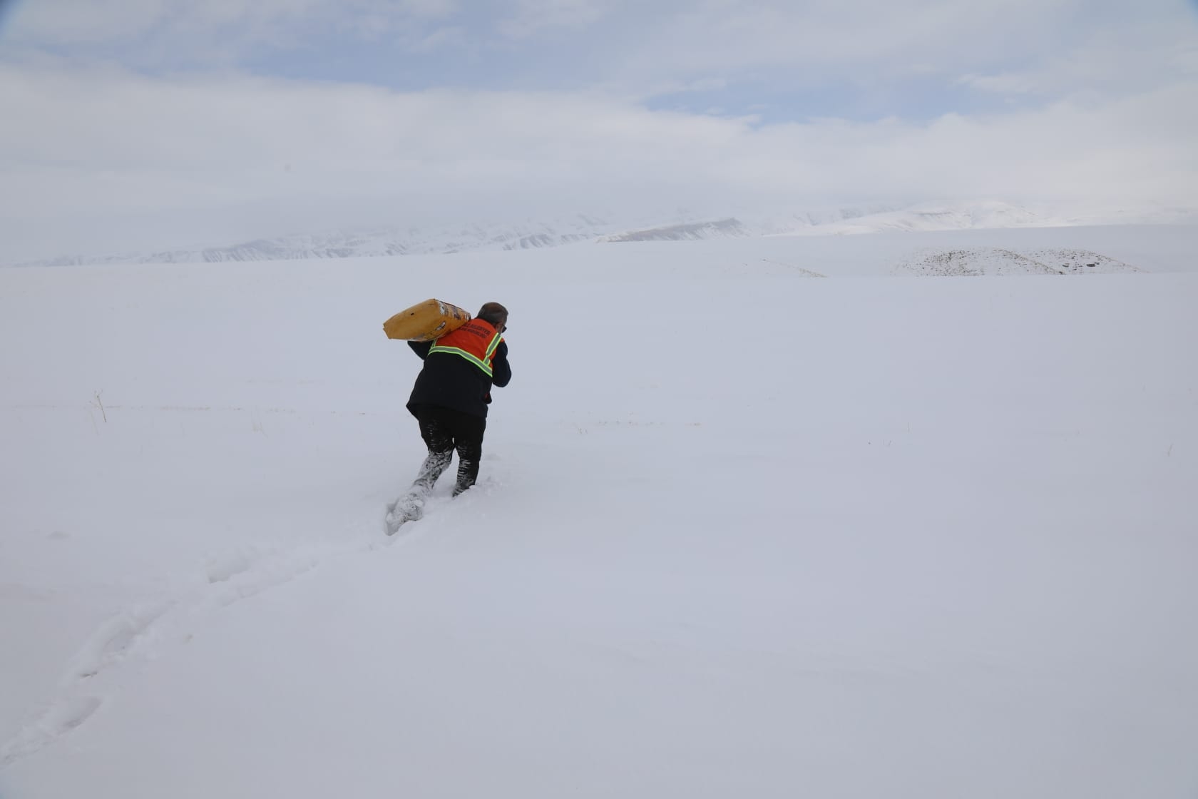 B8B649A4 049E 42Bc B68C 41E38Ced482C