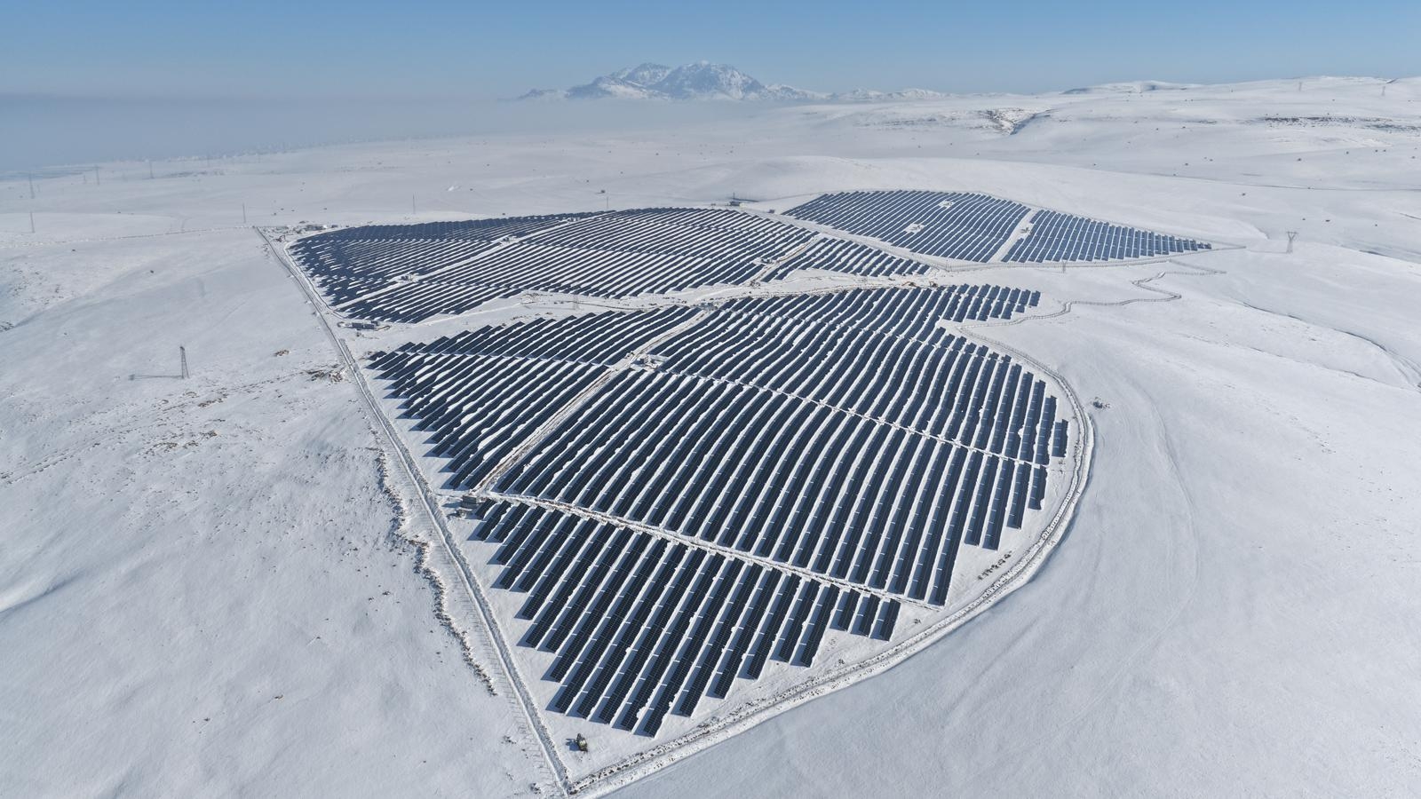 D4344F1D 2Ed4 42B1 B5C3 A36Caa2C4C76