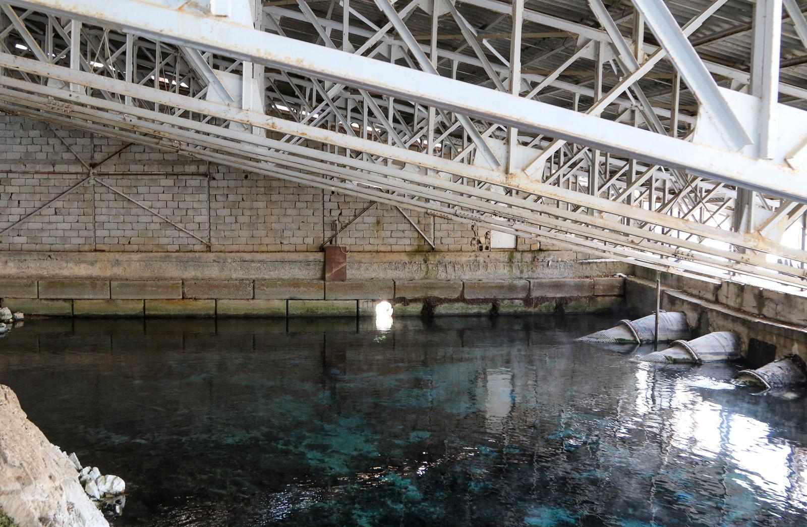 D44Bcef9 9F2F 42A9 A3F7 Bd87875C6A6F