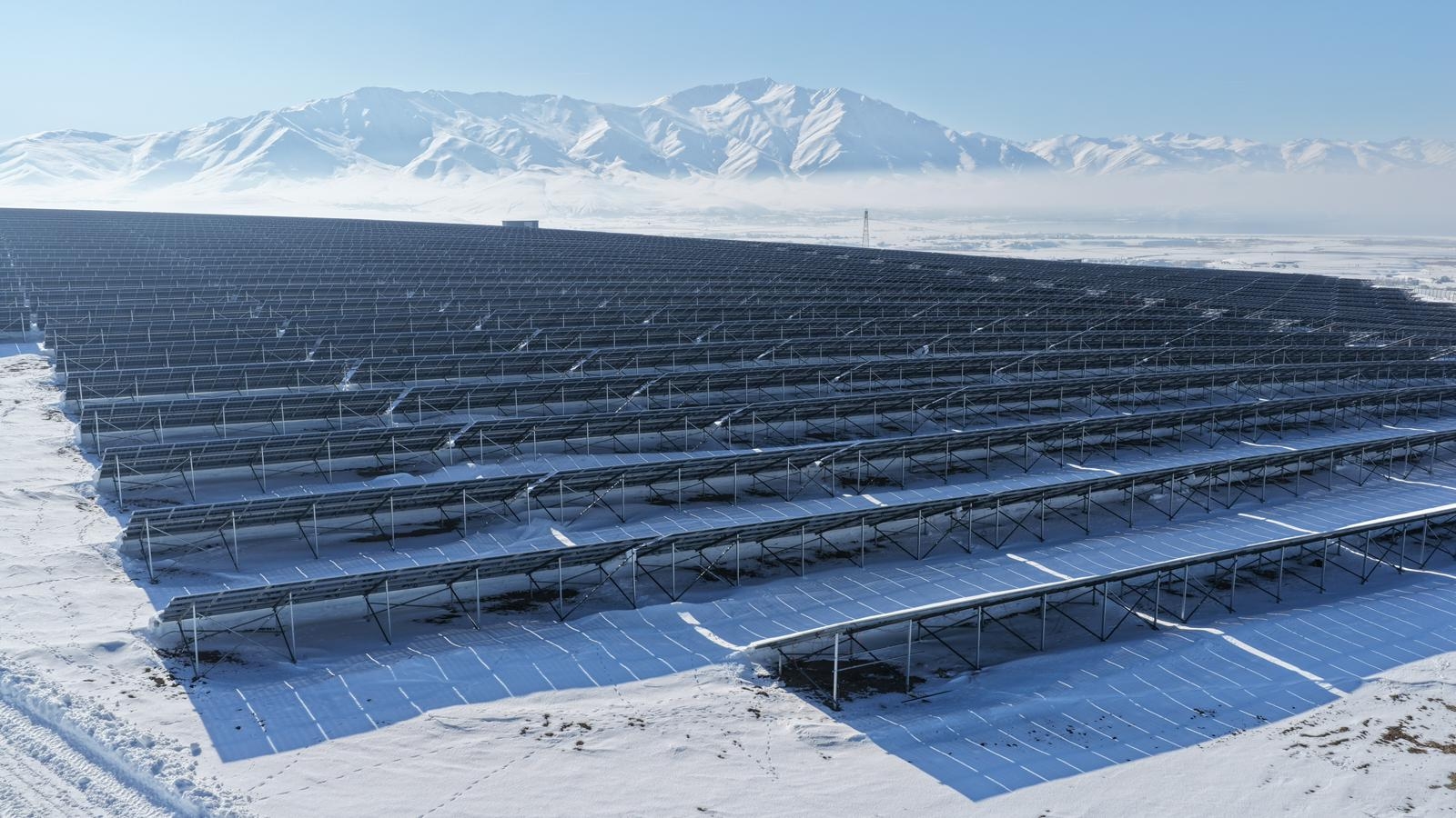 D56A7969 9Baa 46Ef A374 Ff66Df4D863E