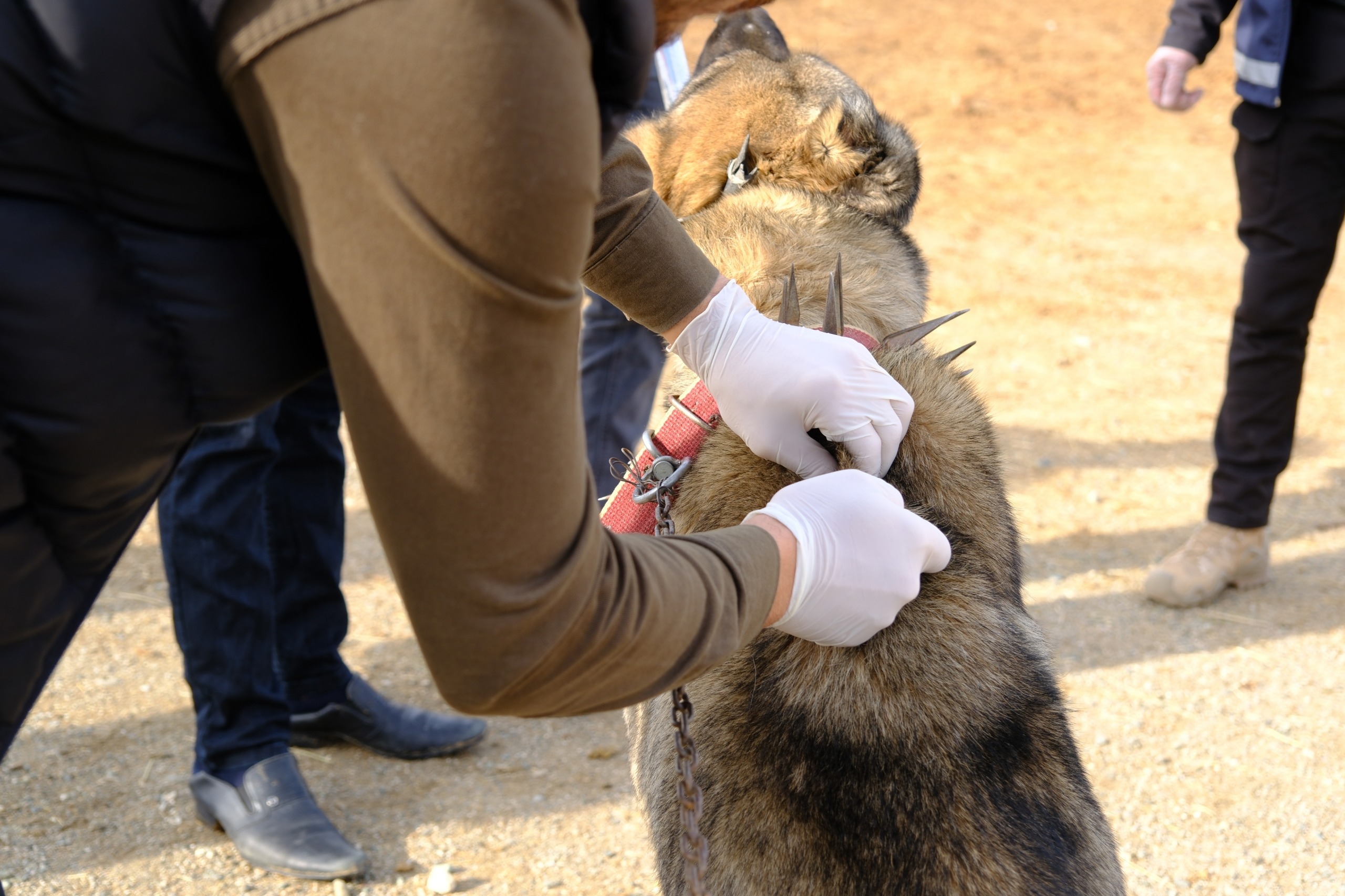 Dd1B8A44 29Ce 40C7 Af16 36835900Ed36