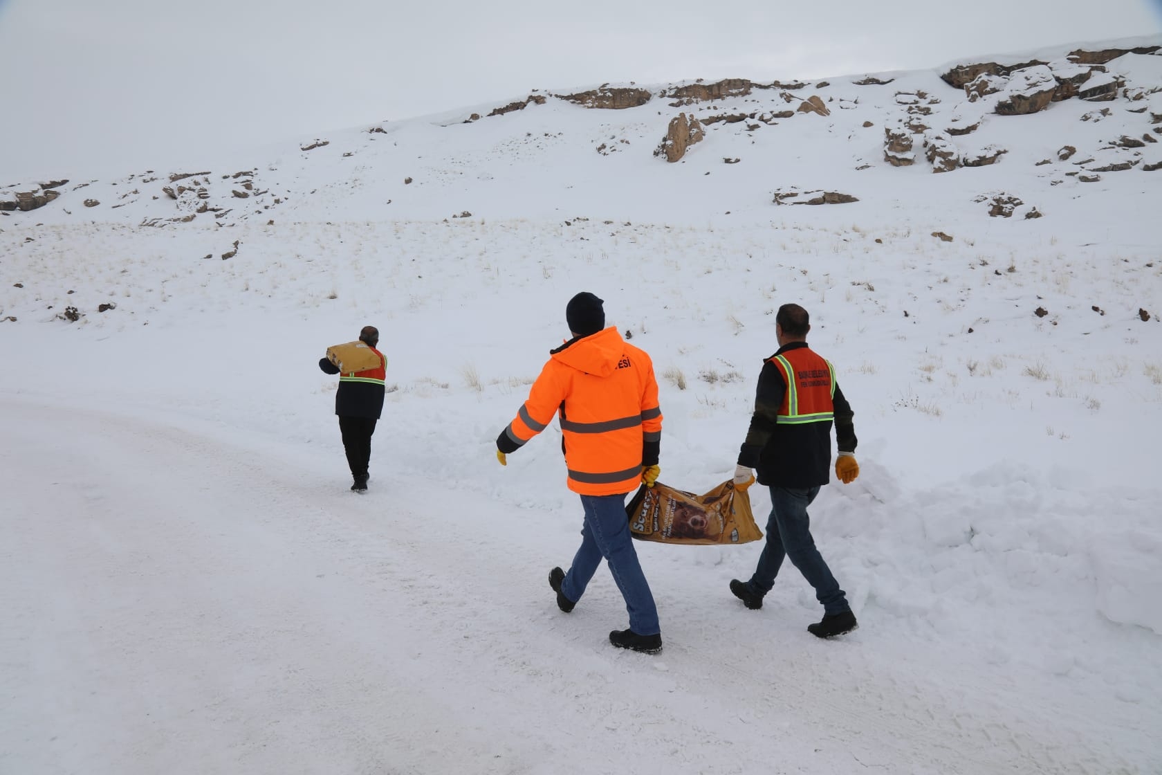 E76B0F03 2046 4B36 9329 61Da1860934D