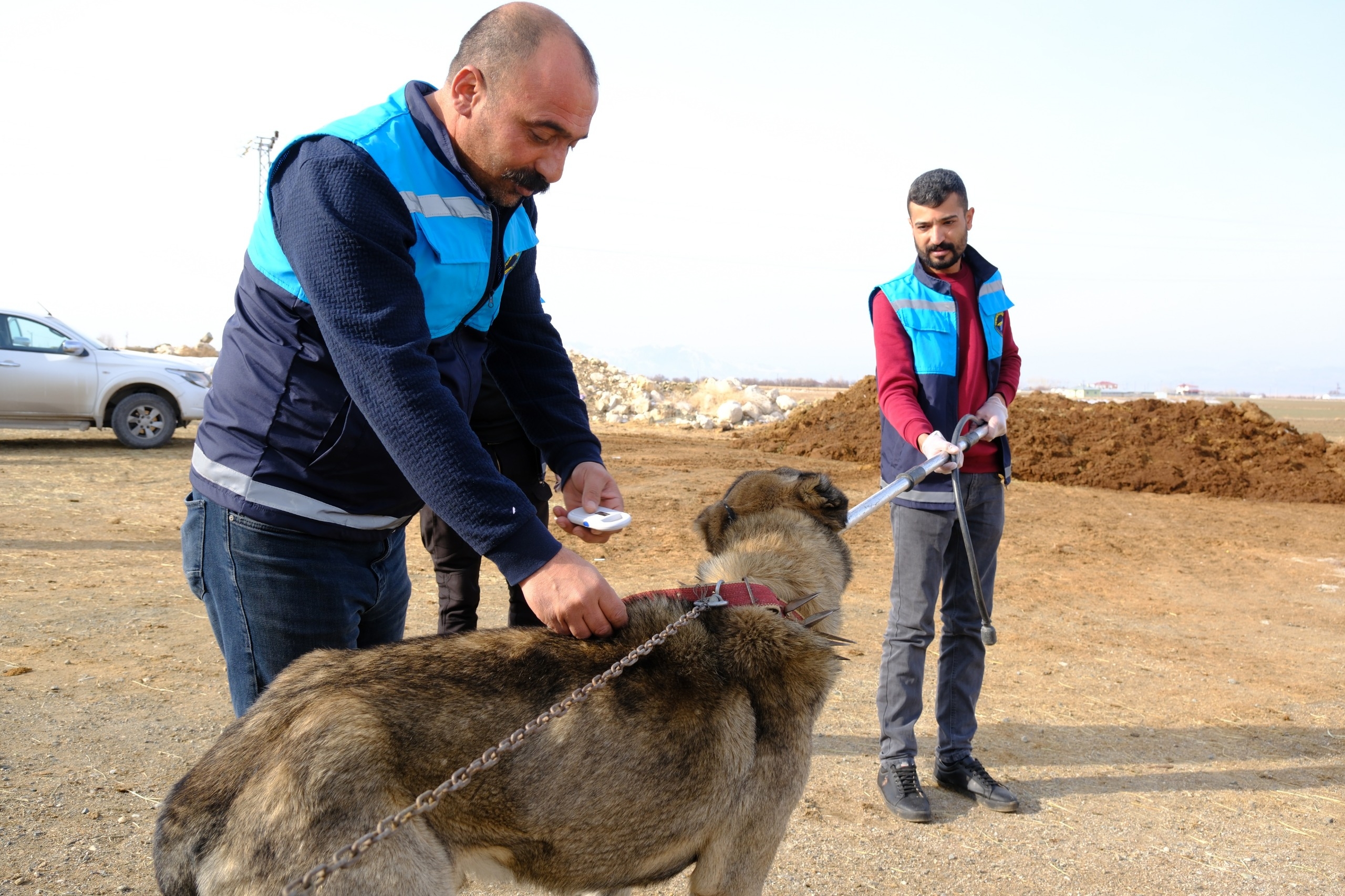 Ee78Ee1D 4E1C 4E63 A1B0 4C8E804C9Dd1