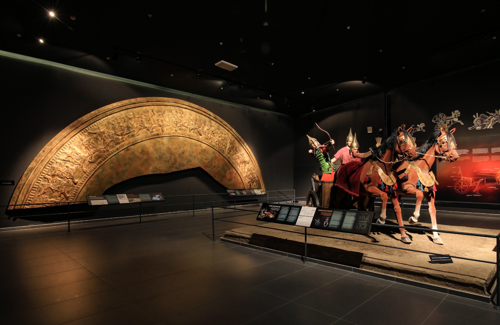 I M G 20260116 W A0043