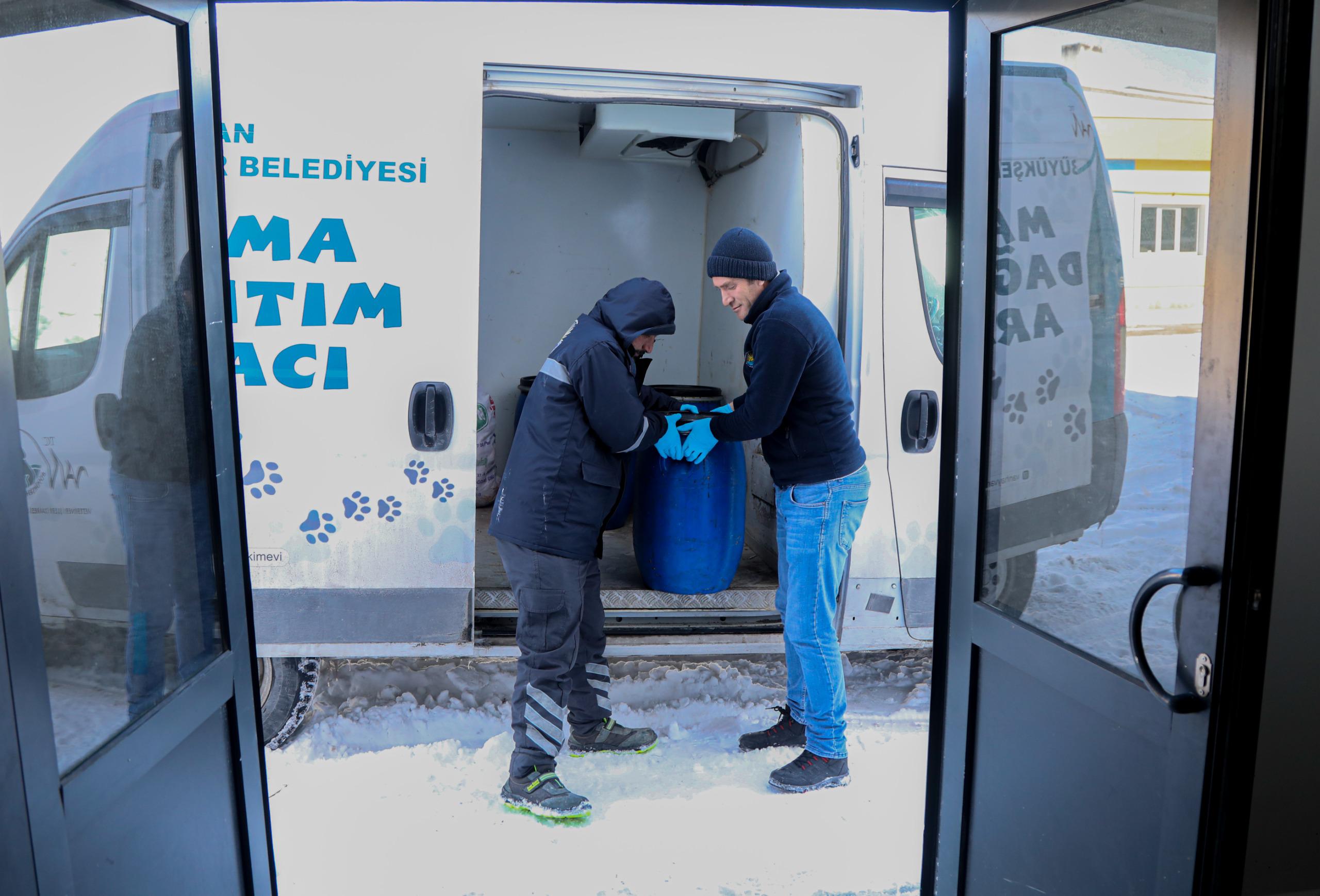 I M G 20260128 W A0045