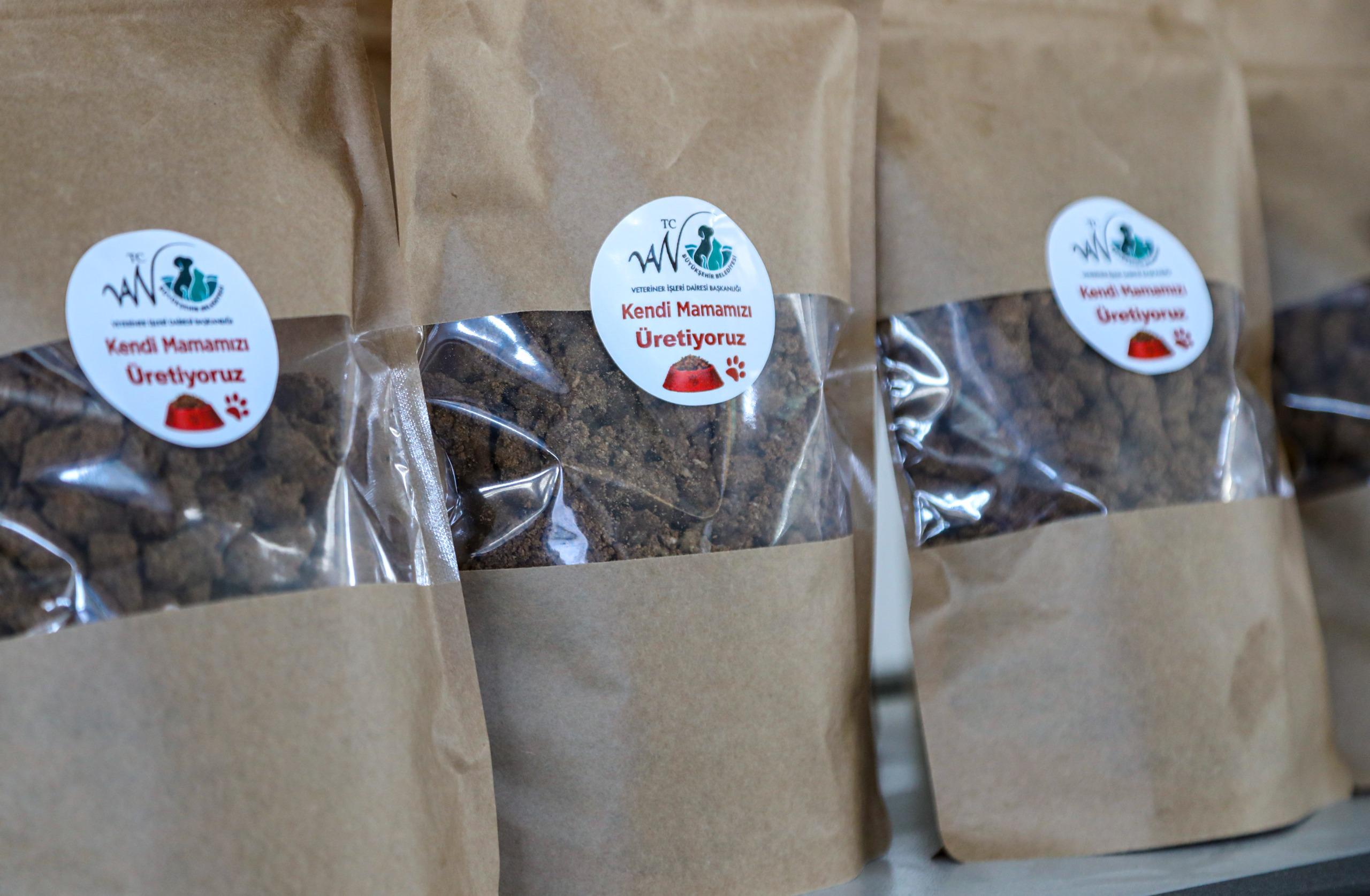 I M G 20260128 W A0049