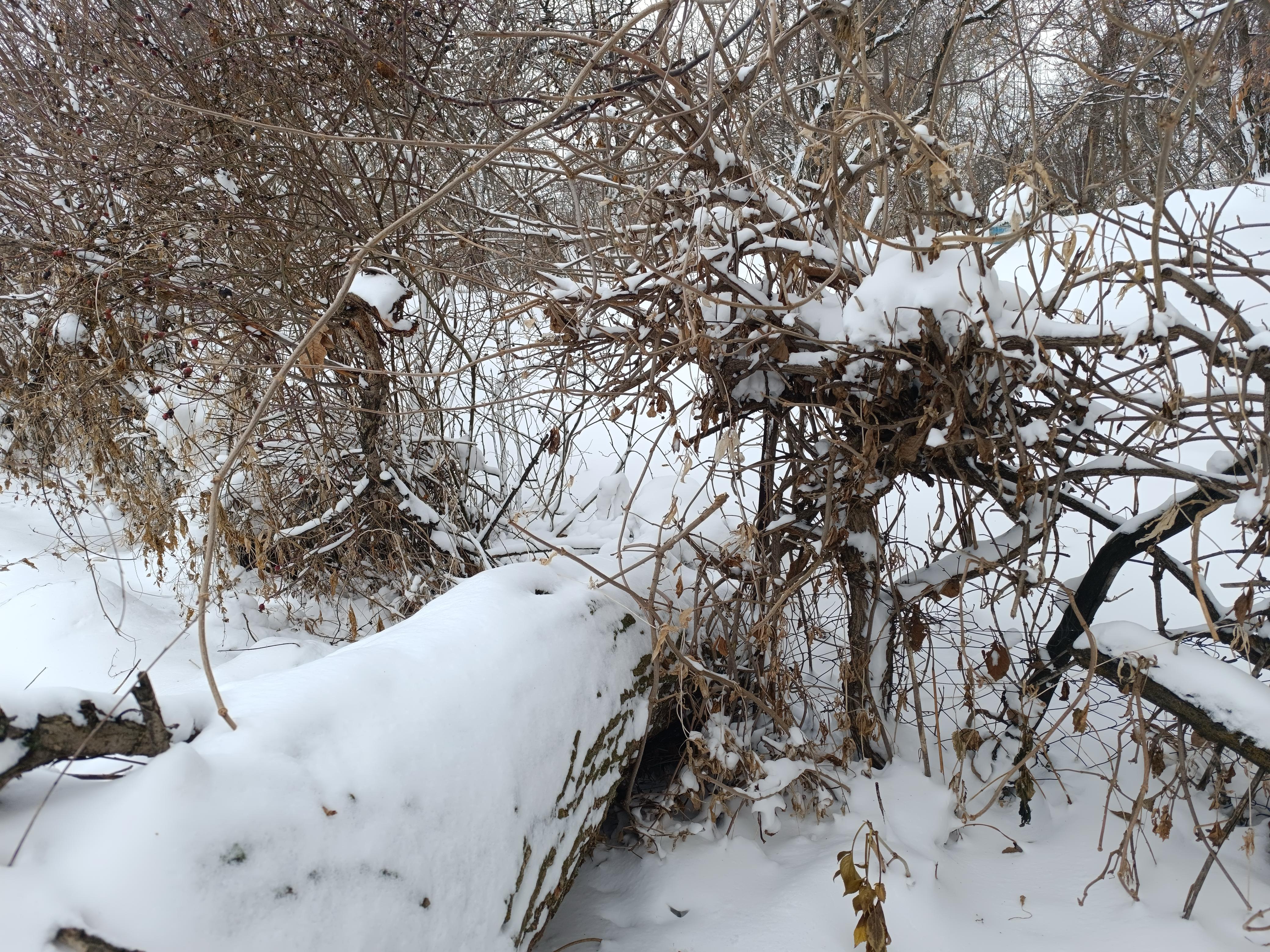 Whatsapp Image 2026 01 01 At 13.31.04