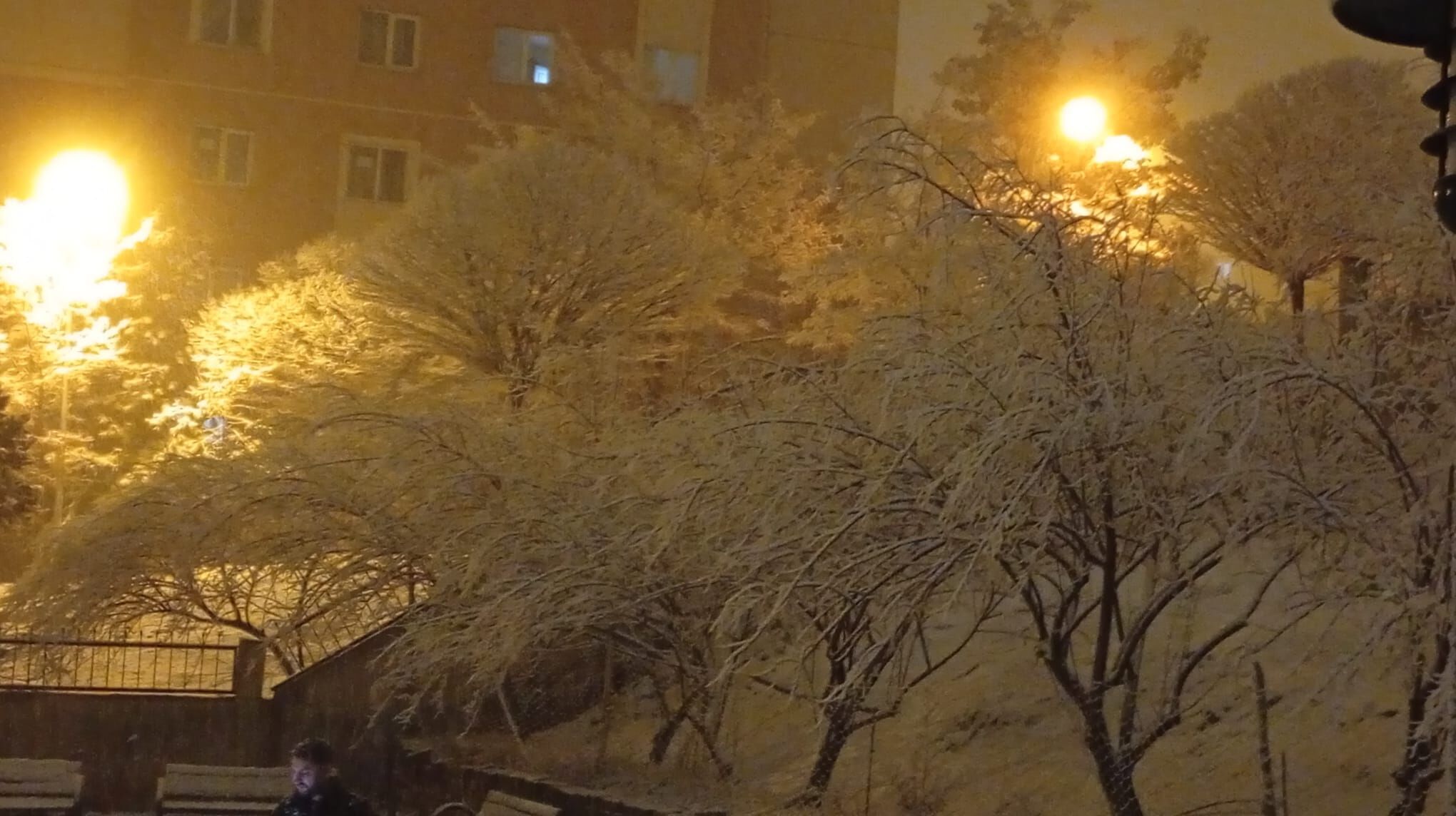 047279A4 F6C7 45A4 B1B6 1Ad32Dafdff5