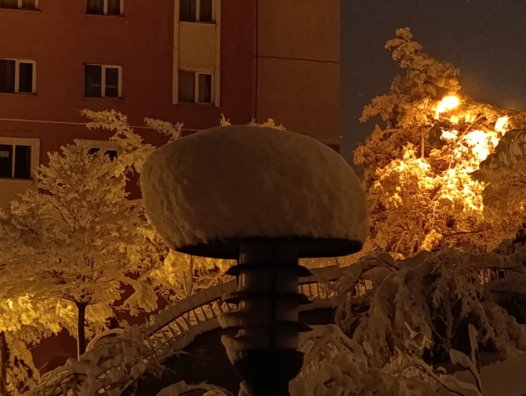 061F6068 88Df 4142 9E29 976E53Ca3A24