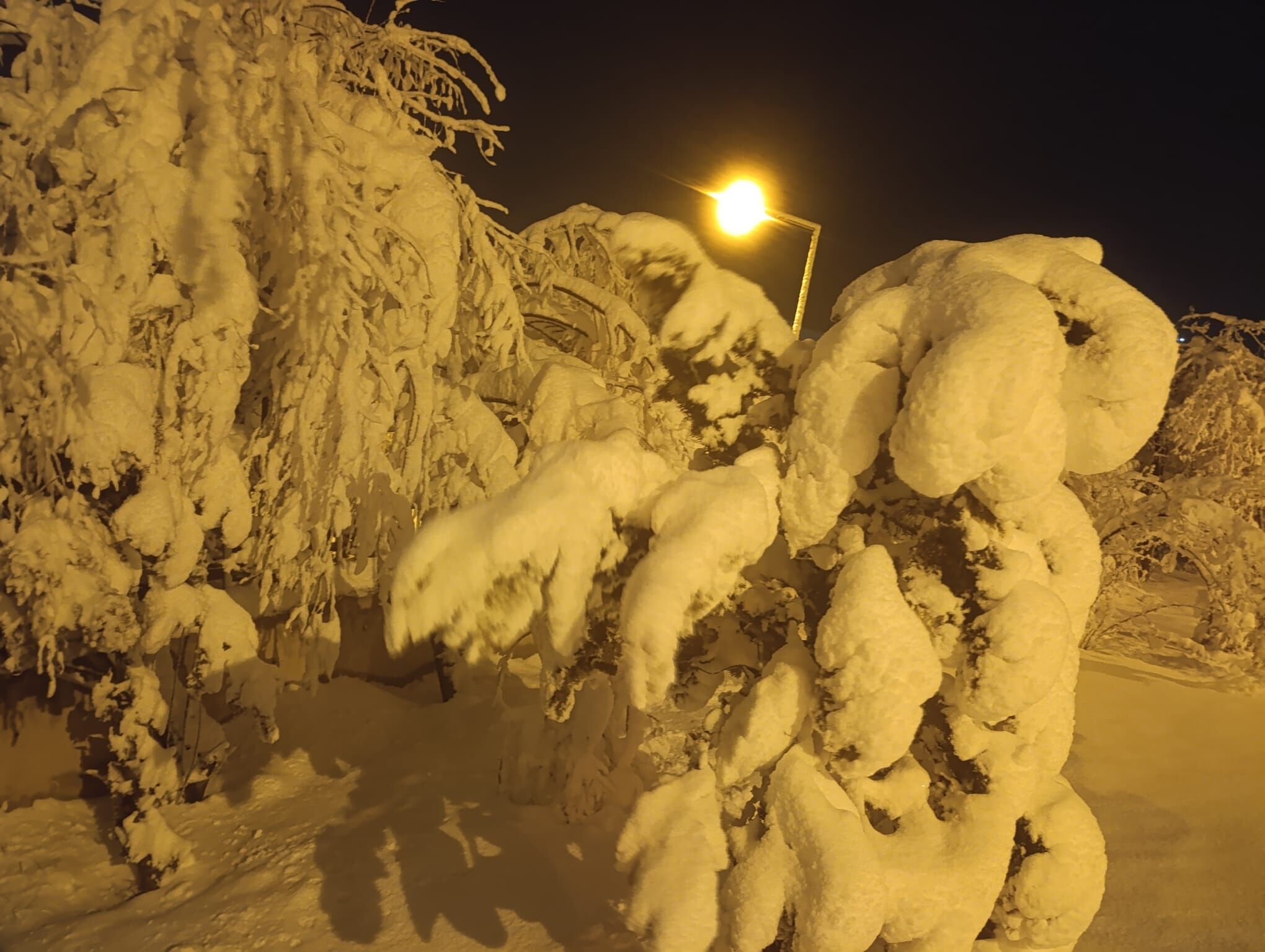 09B0Bbc3 1Ce1 4D66 Ae0A 478485C6793F