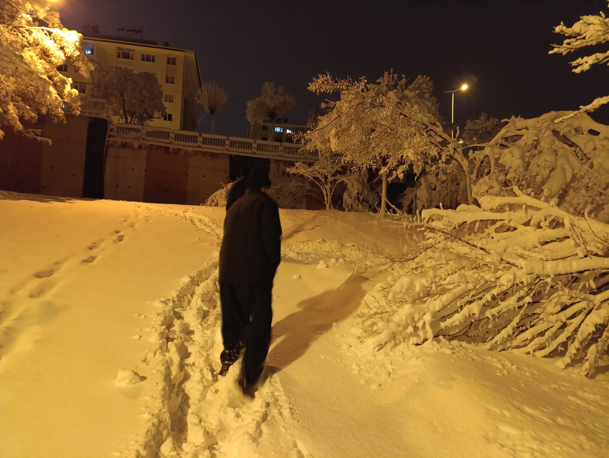 0F0Fa640 27A0 4256 93Ca 025D889E9687