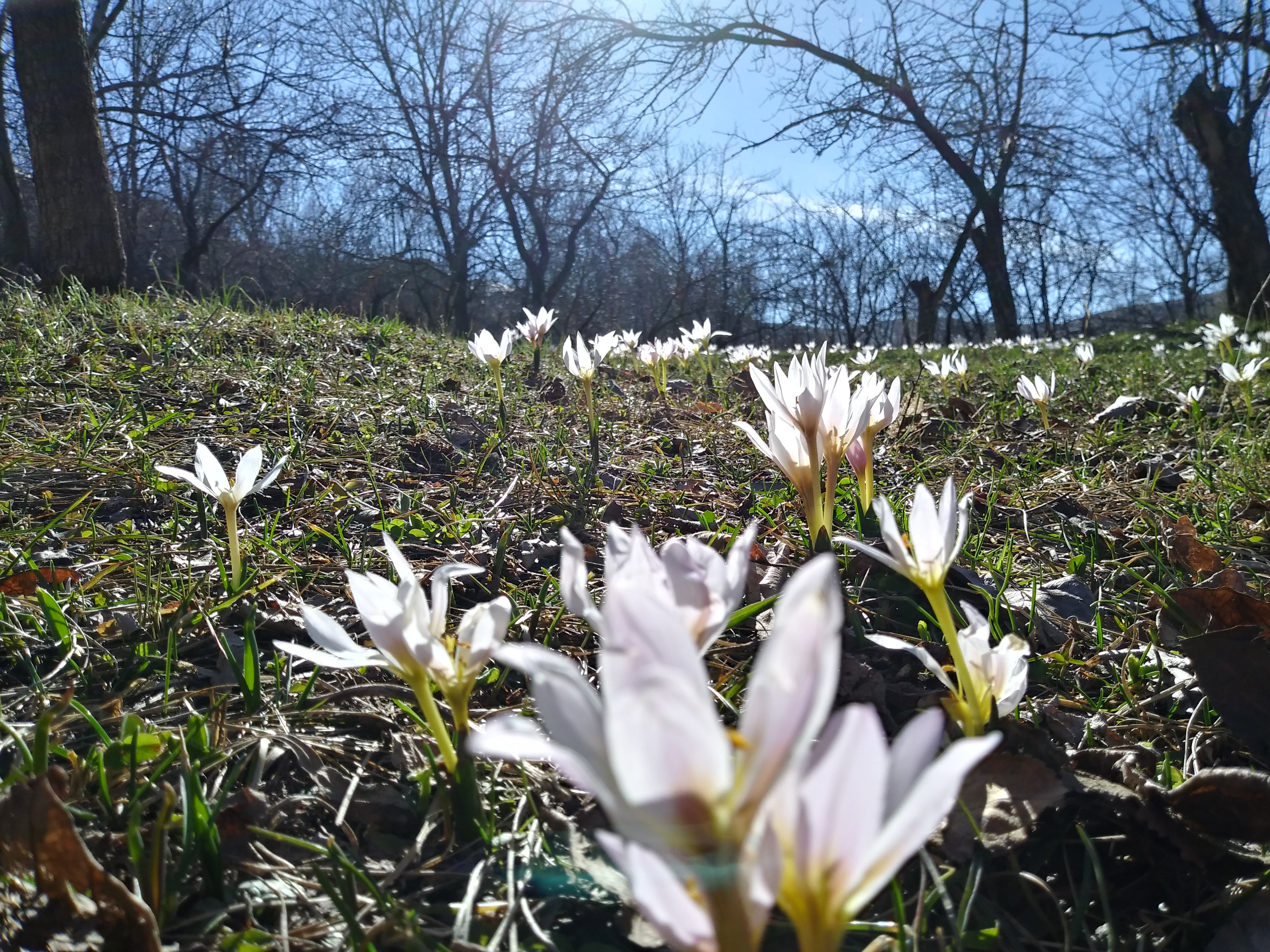 20180310 153855 H D R