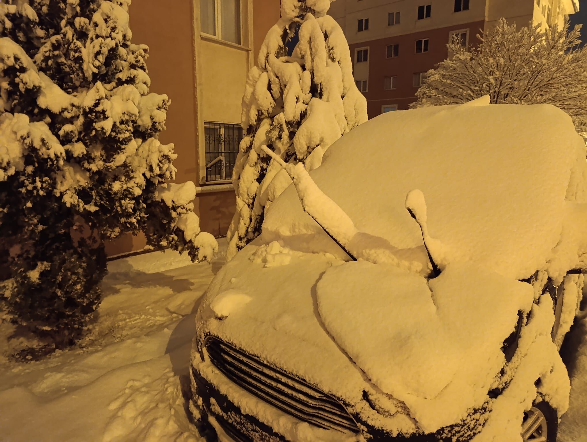 29Bf72Ca Cb0F 4C0C 8C84 Bb7A8856Cd94