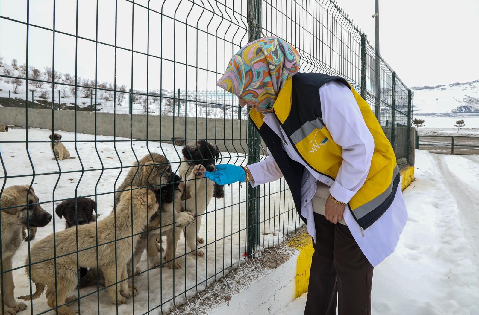 2C7Eb15F 45C3 45E4 A986 C383Ae2321E2