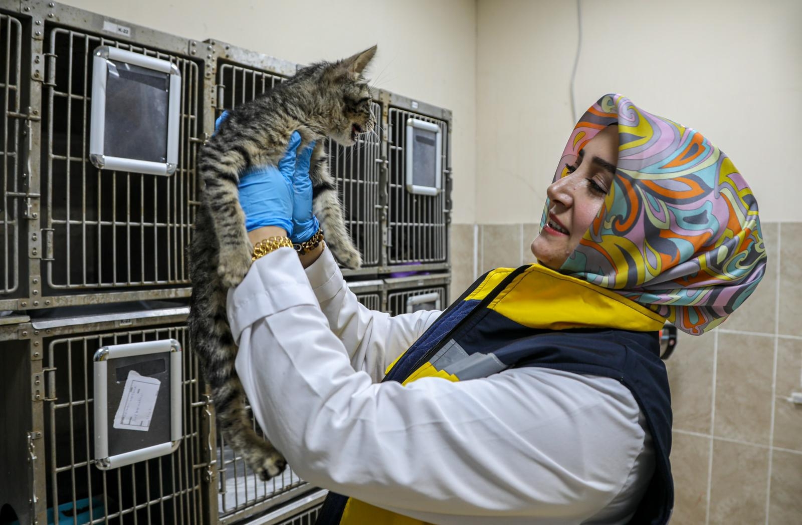 32A48C24 6C9C 4F1F 88C9 Ec28Dcc85958