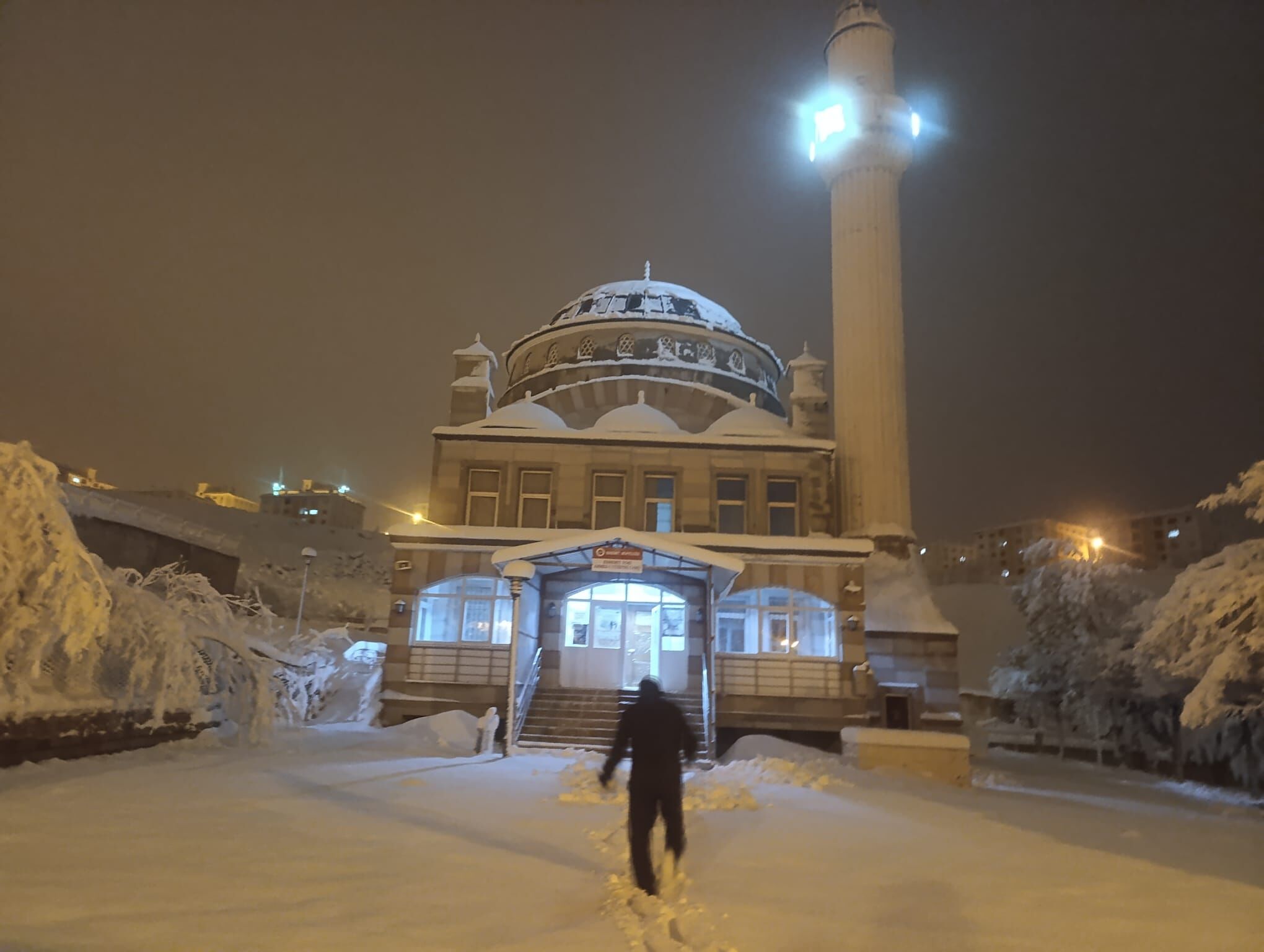 659F00F6 5E65 4B3A 8636 Cca9Ab301Aef