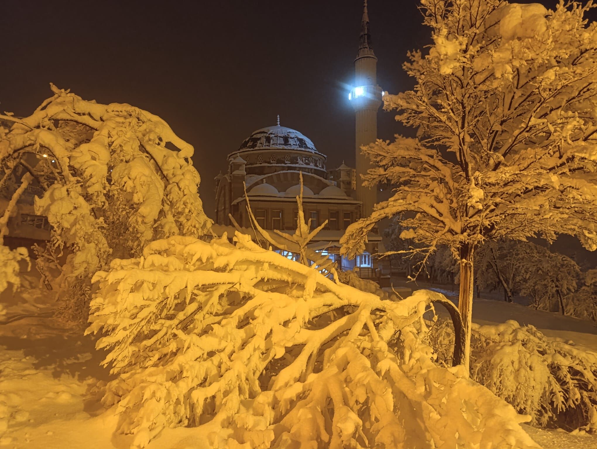 66863942 9484 44F8 Bd4F 395Ddb5B9B06