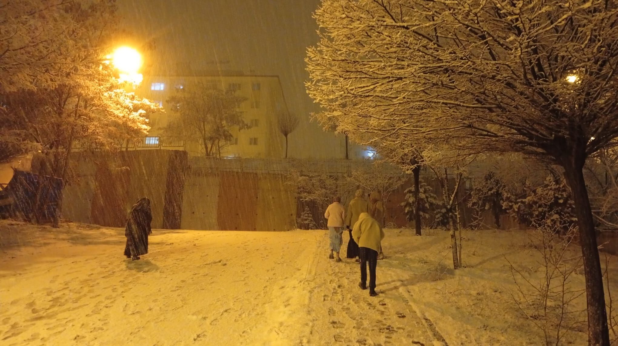 699C6759 4868 4A45 B10E 04885F4Bd31E