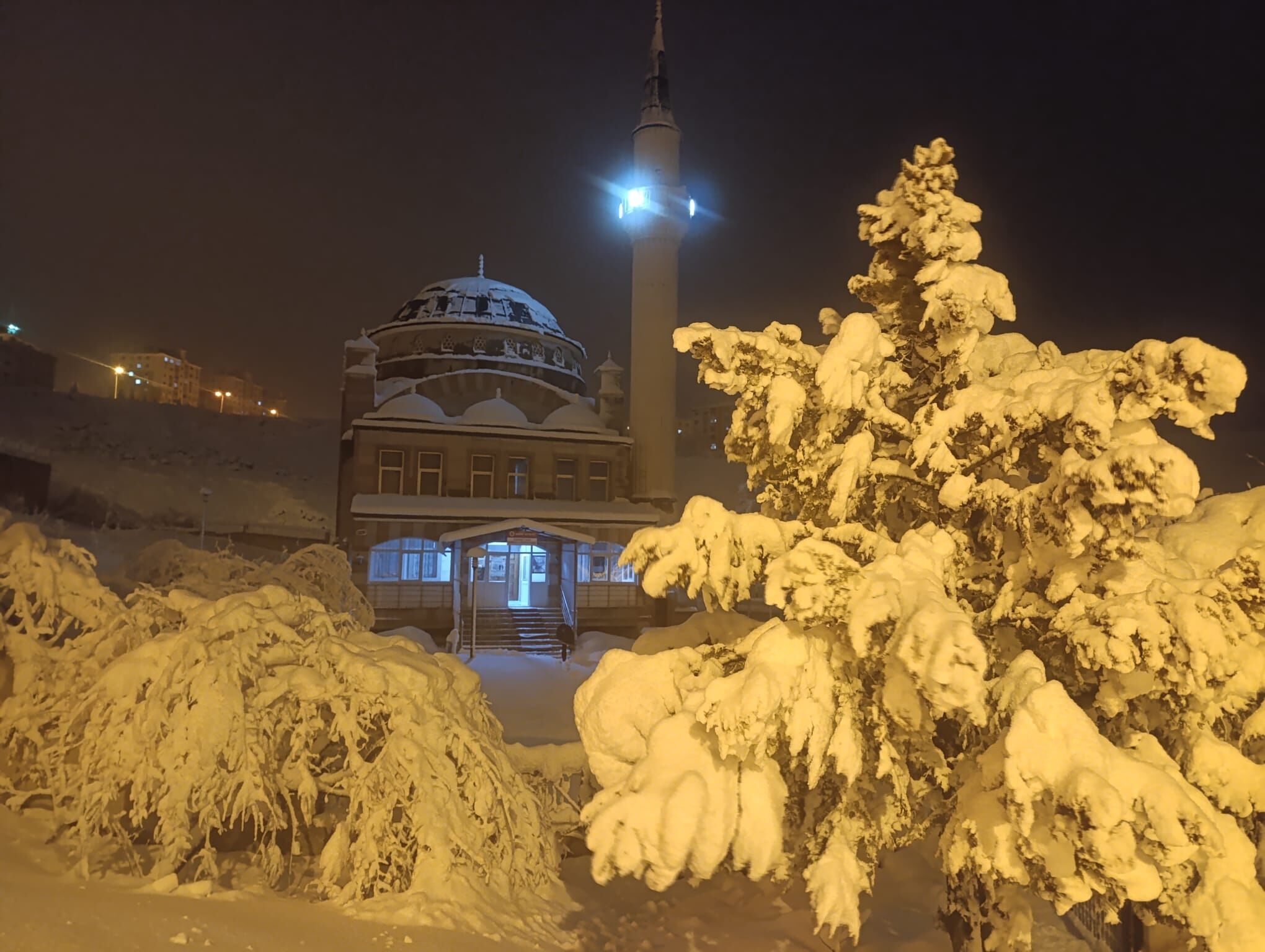 7Cd3A477 Db35 4E27 9532 Eb7Fcefa53F4