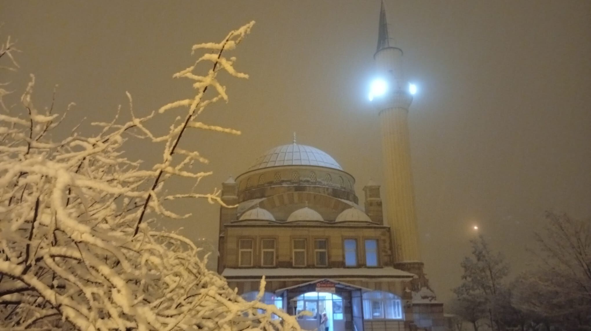 87Fac18C F0F0 44B1 Ab99 1E4E339530Ab