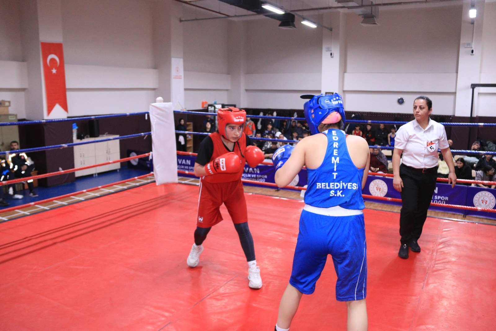 93Cca658 612D 4C7F 9A5E 60A3163381D2