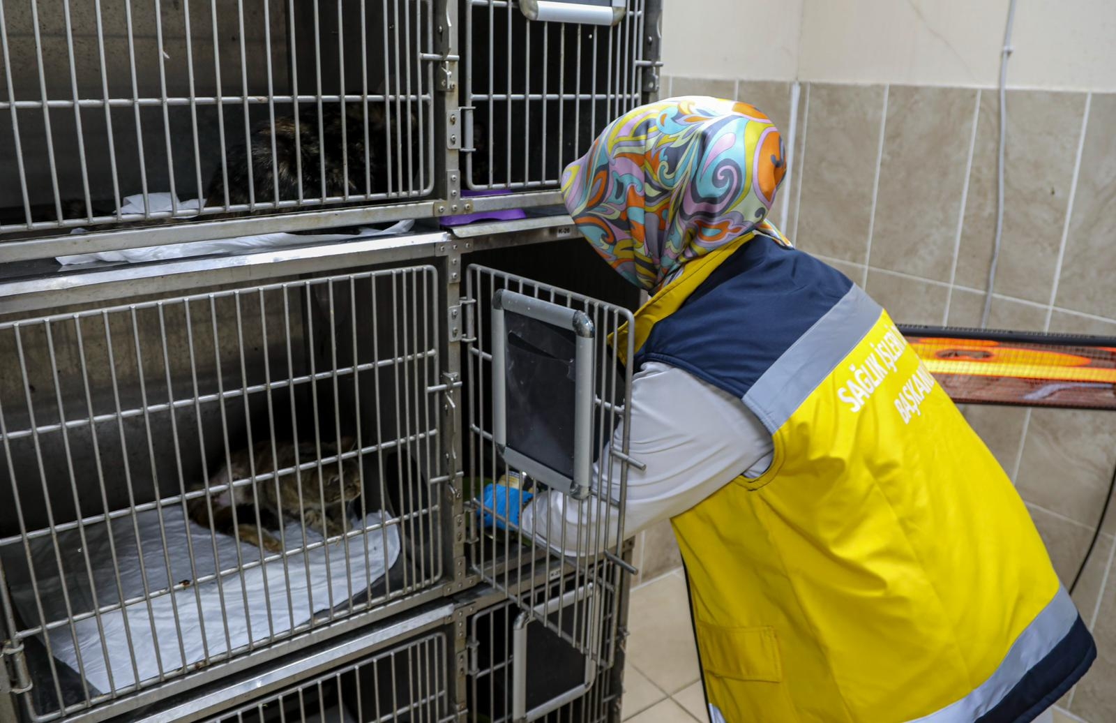 9429D432 54E4 4265 Aa14 208F98797F1E