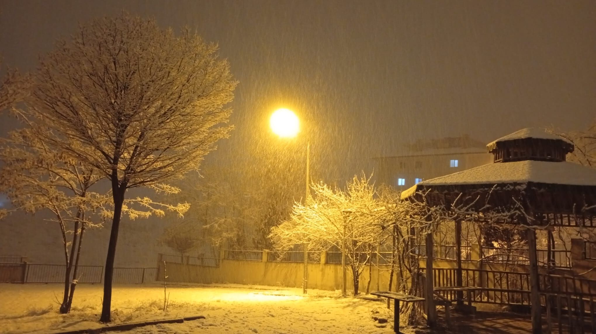 967D068C 4Ae2 4766 9009 1Ec94403Df73