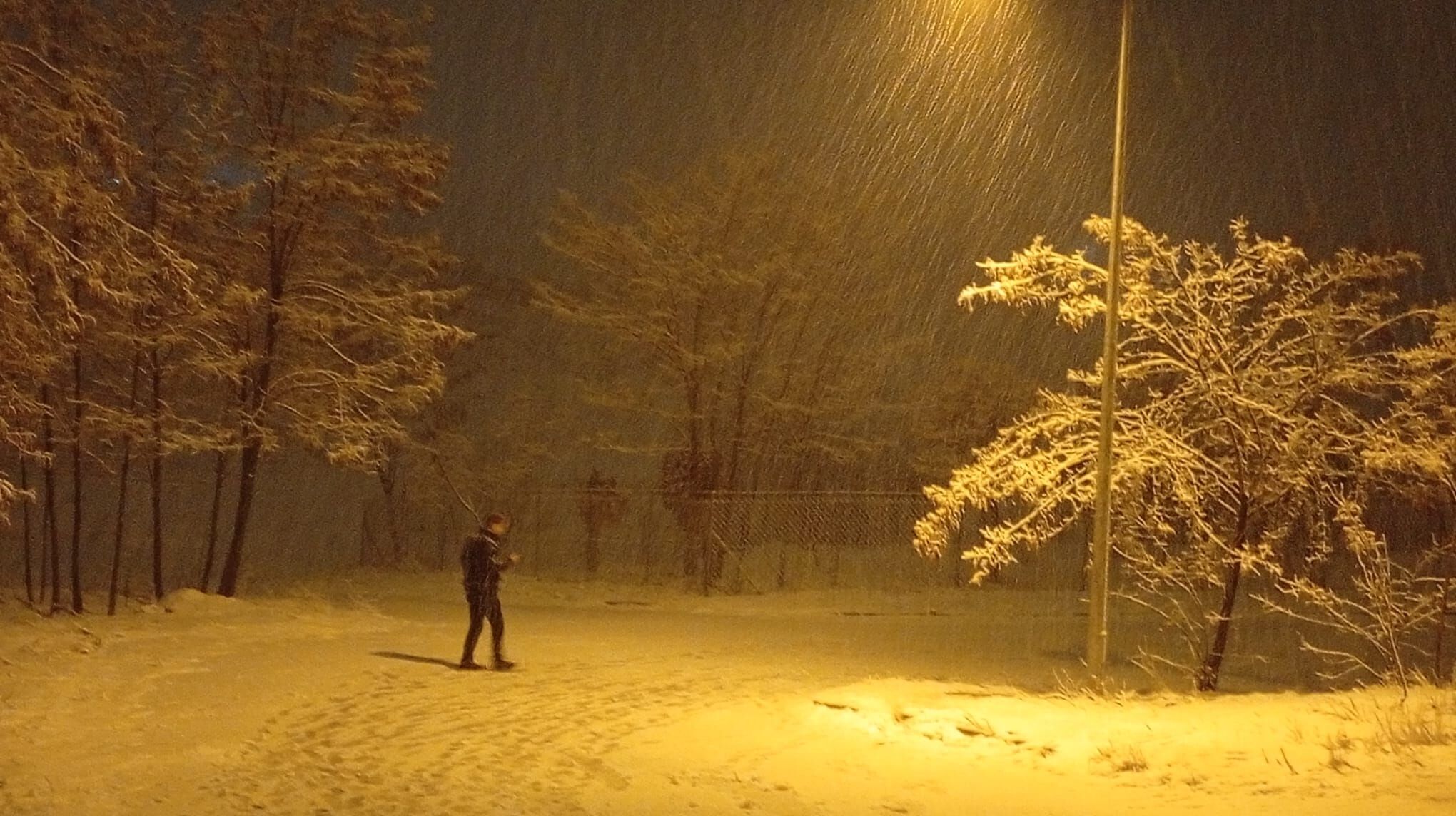 9C848D79 904D 4491 91Bb 541Afc6C74A3-1