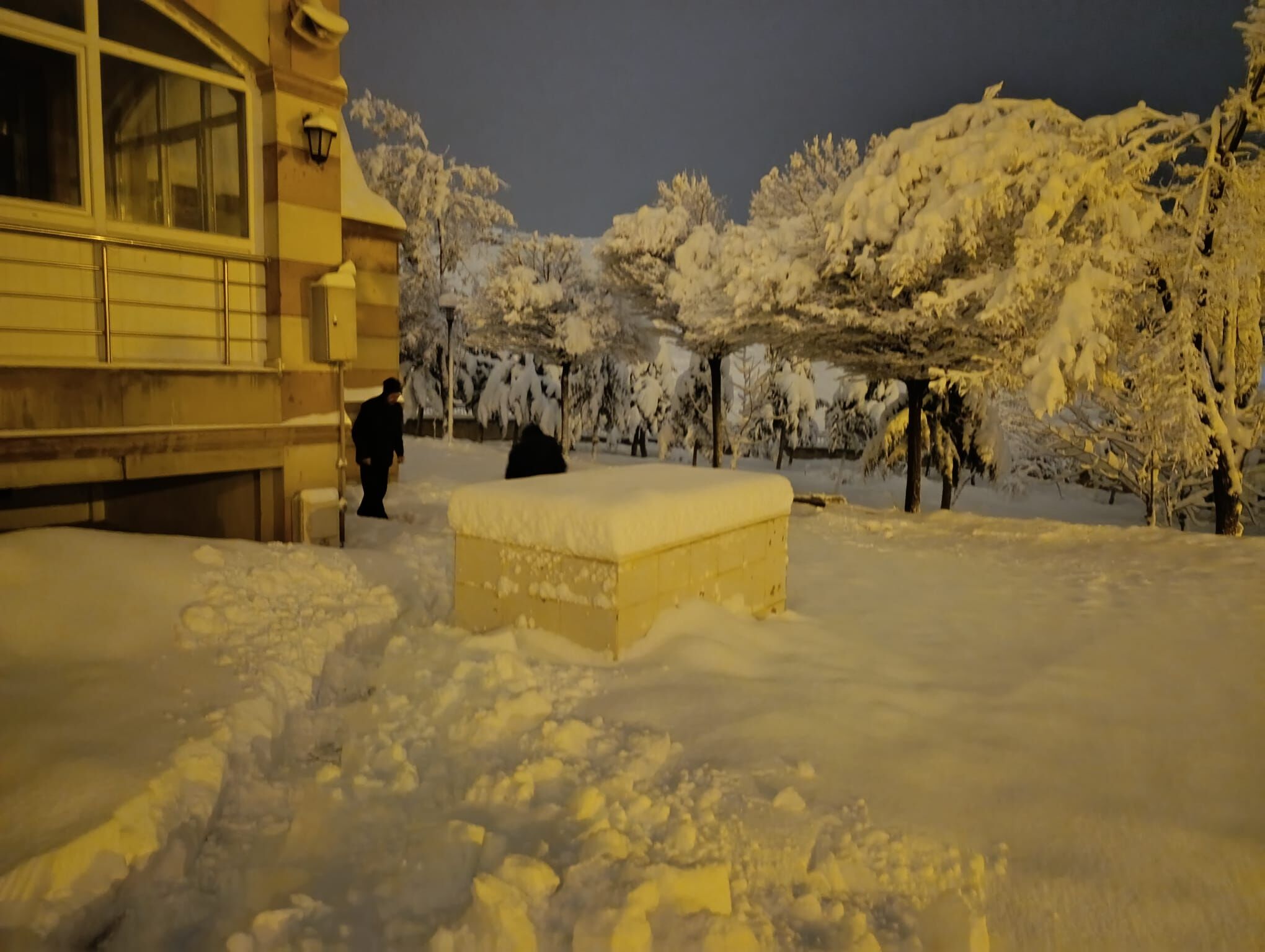 E1C82A9D Bcf6 4D81 8231 5503C783F8Dc