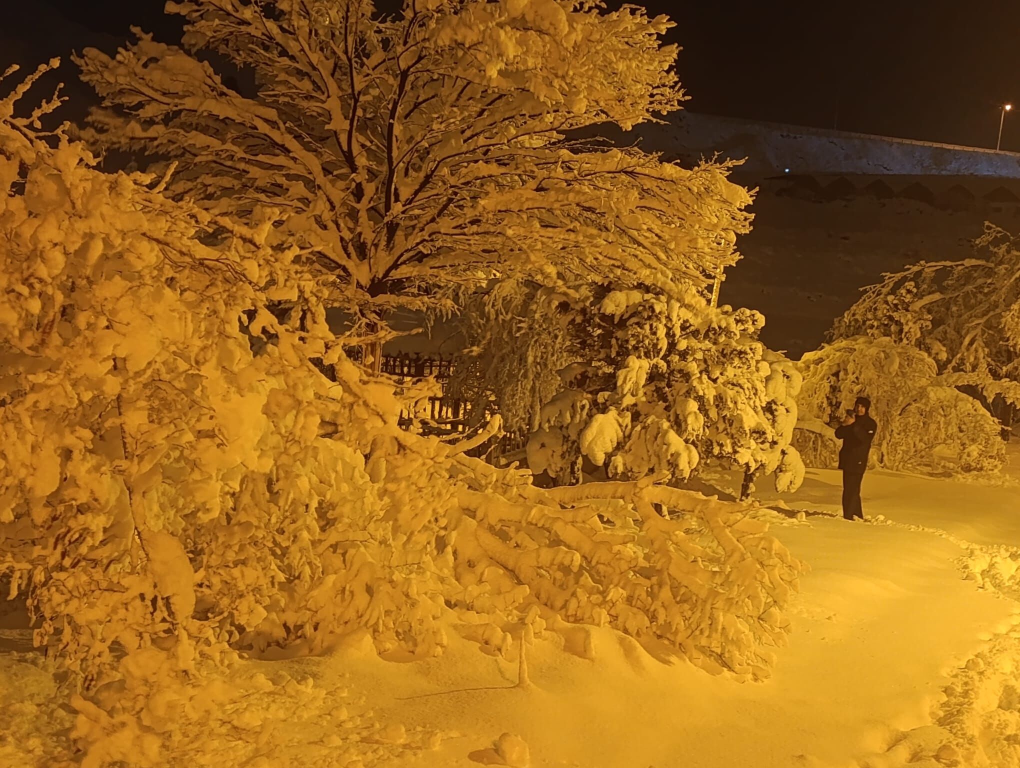 E2028Cb5 08B9 464F B3B0 E94Af7A5E498