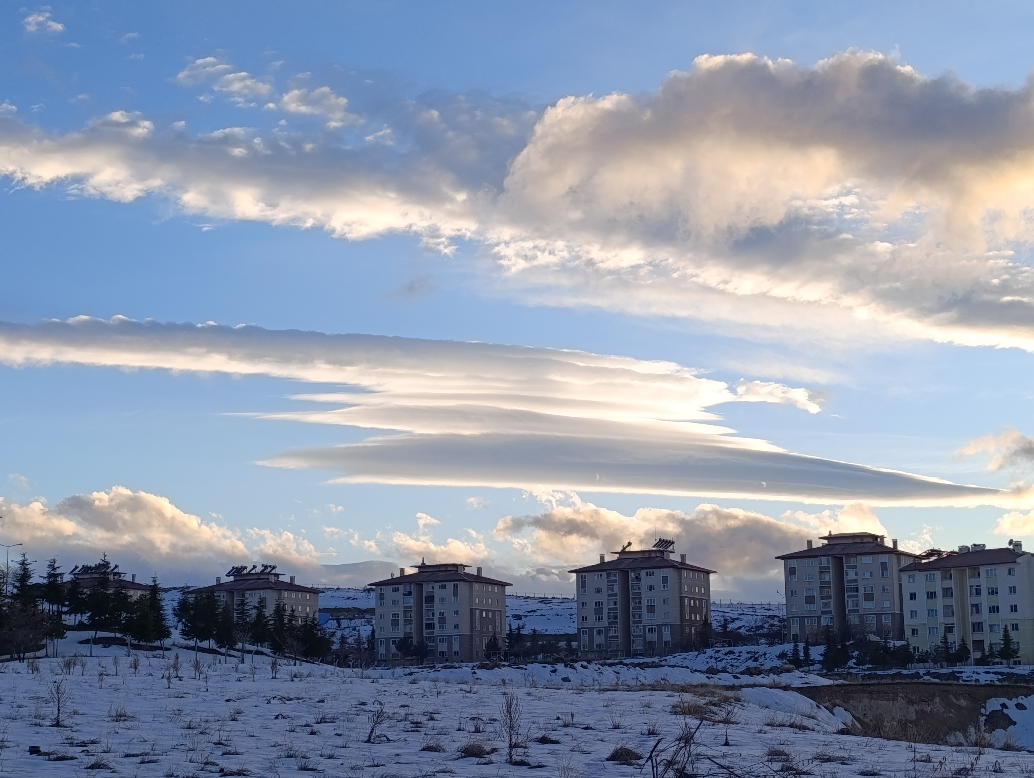 I M G 20260212 172221