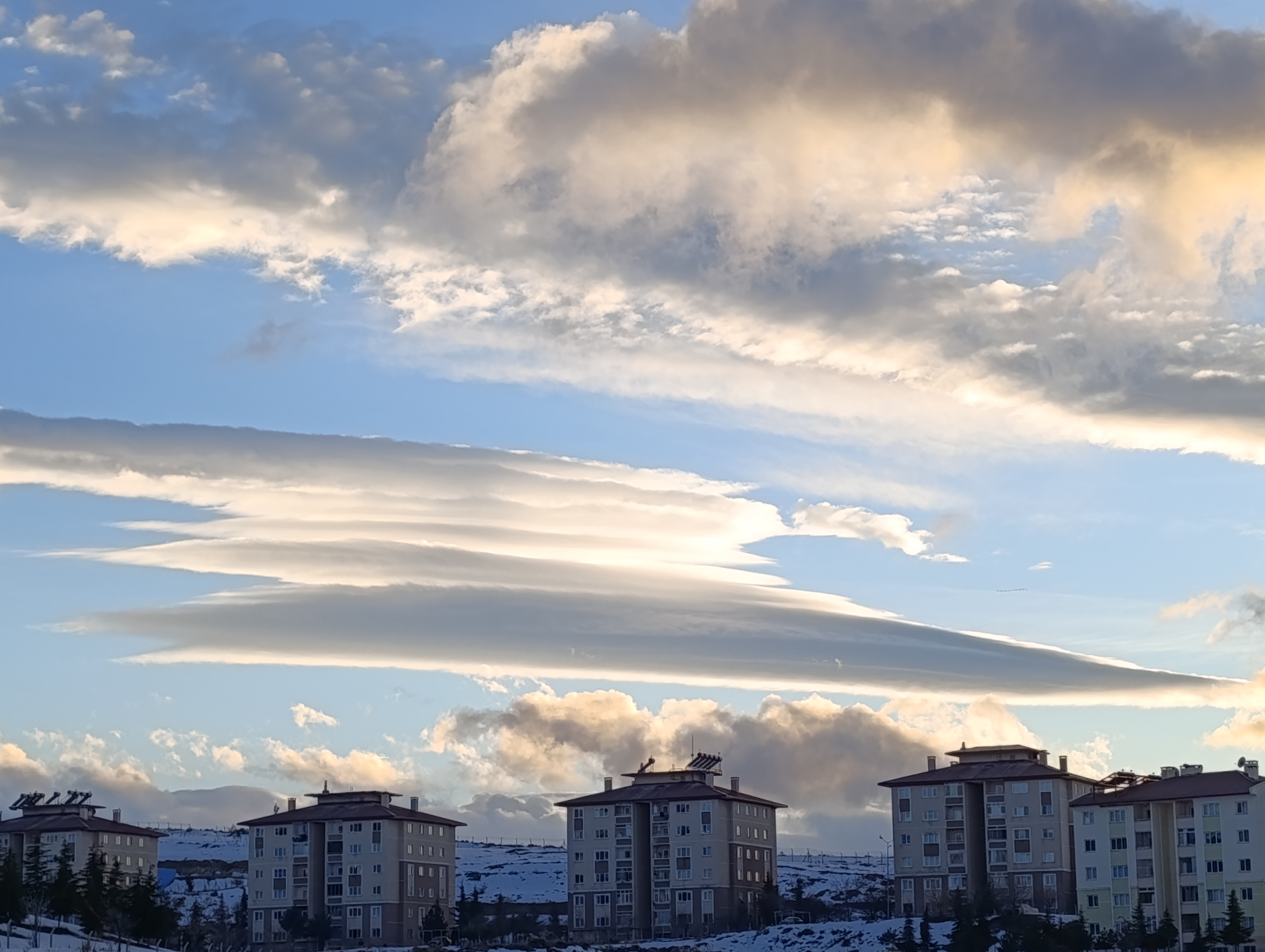 I M G 20260212 172239