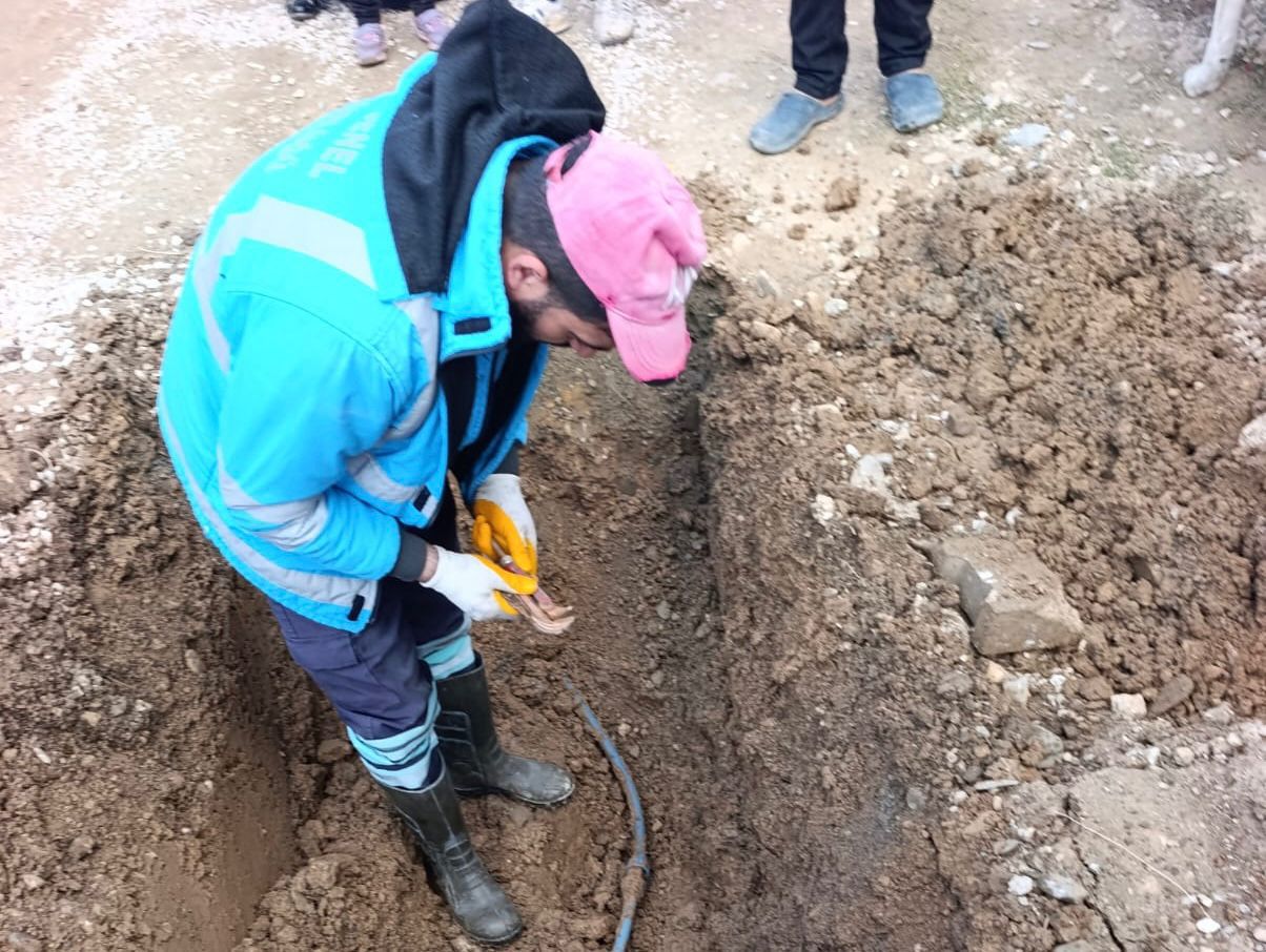 I M G 20260221 W A0008