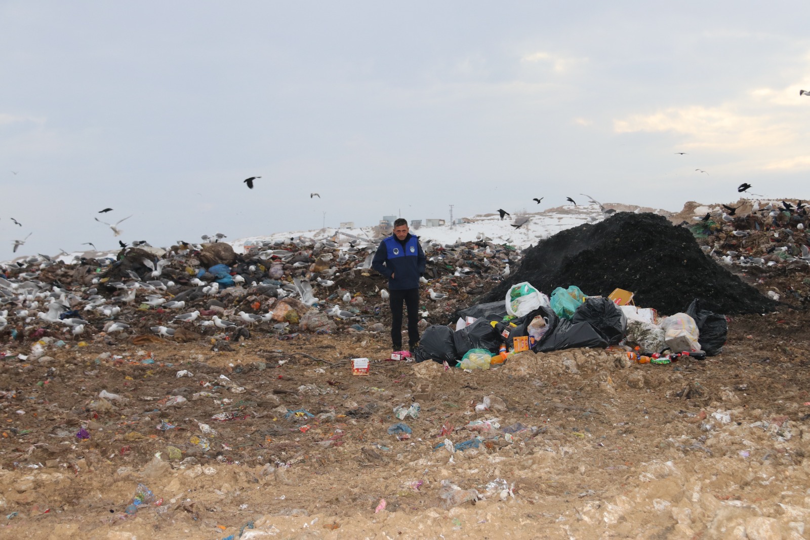 Whatsapp Image 2026 02 04 At 11.30.32 (2)