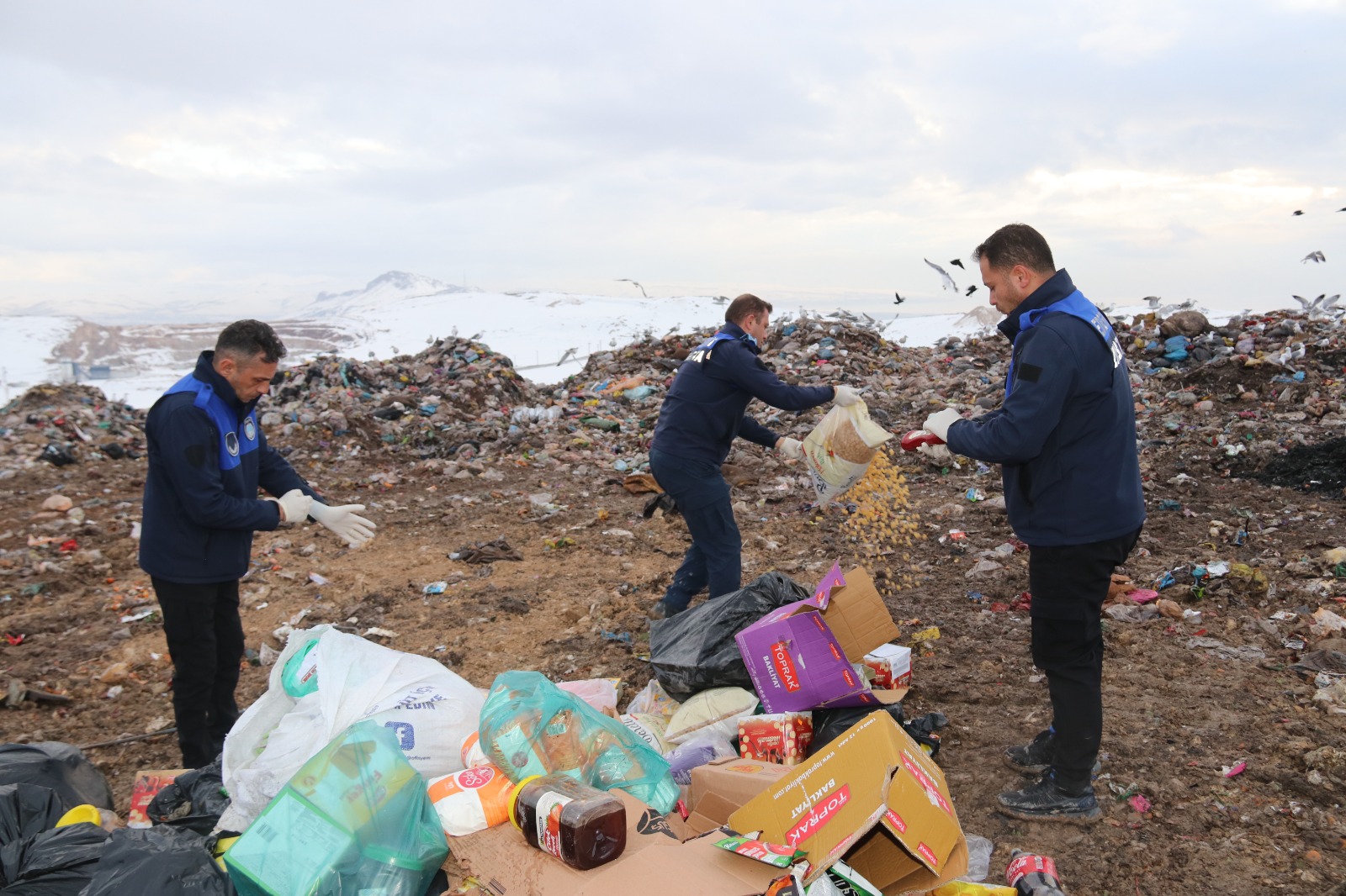 Whatsapp Image 2026 02 04 At 11.30.32 (3)