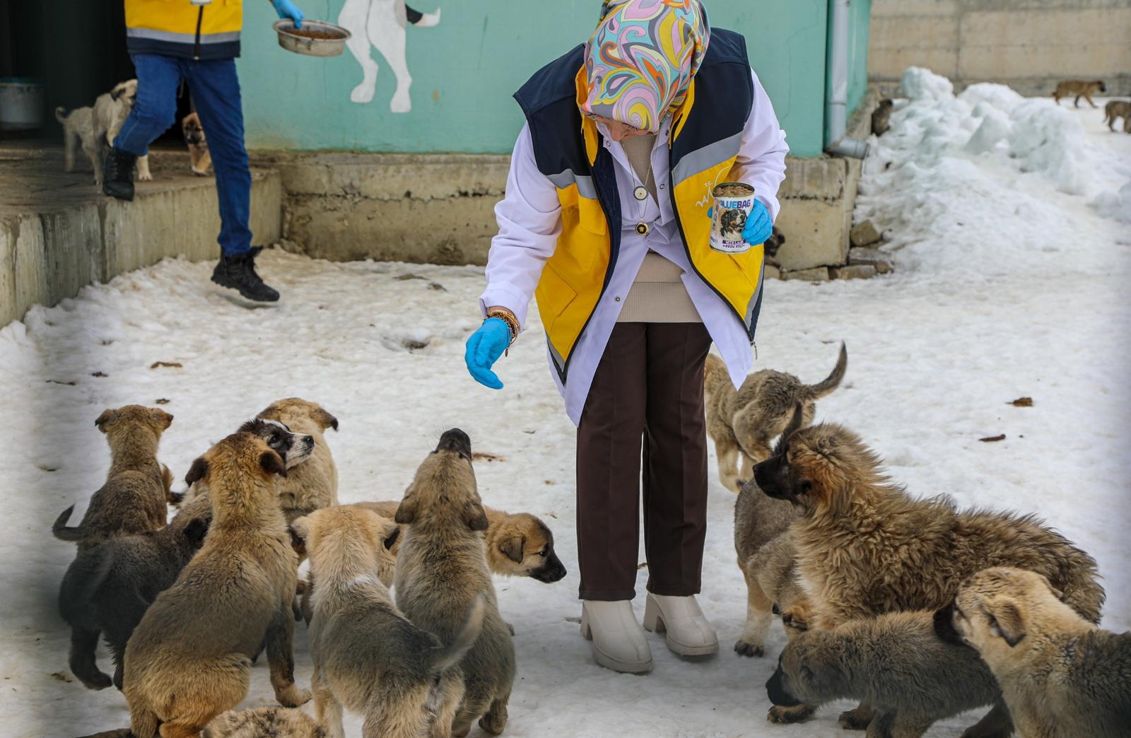 Whatsapp Image 2026 02 05 At 10.49.31