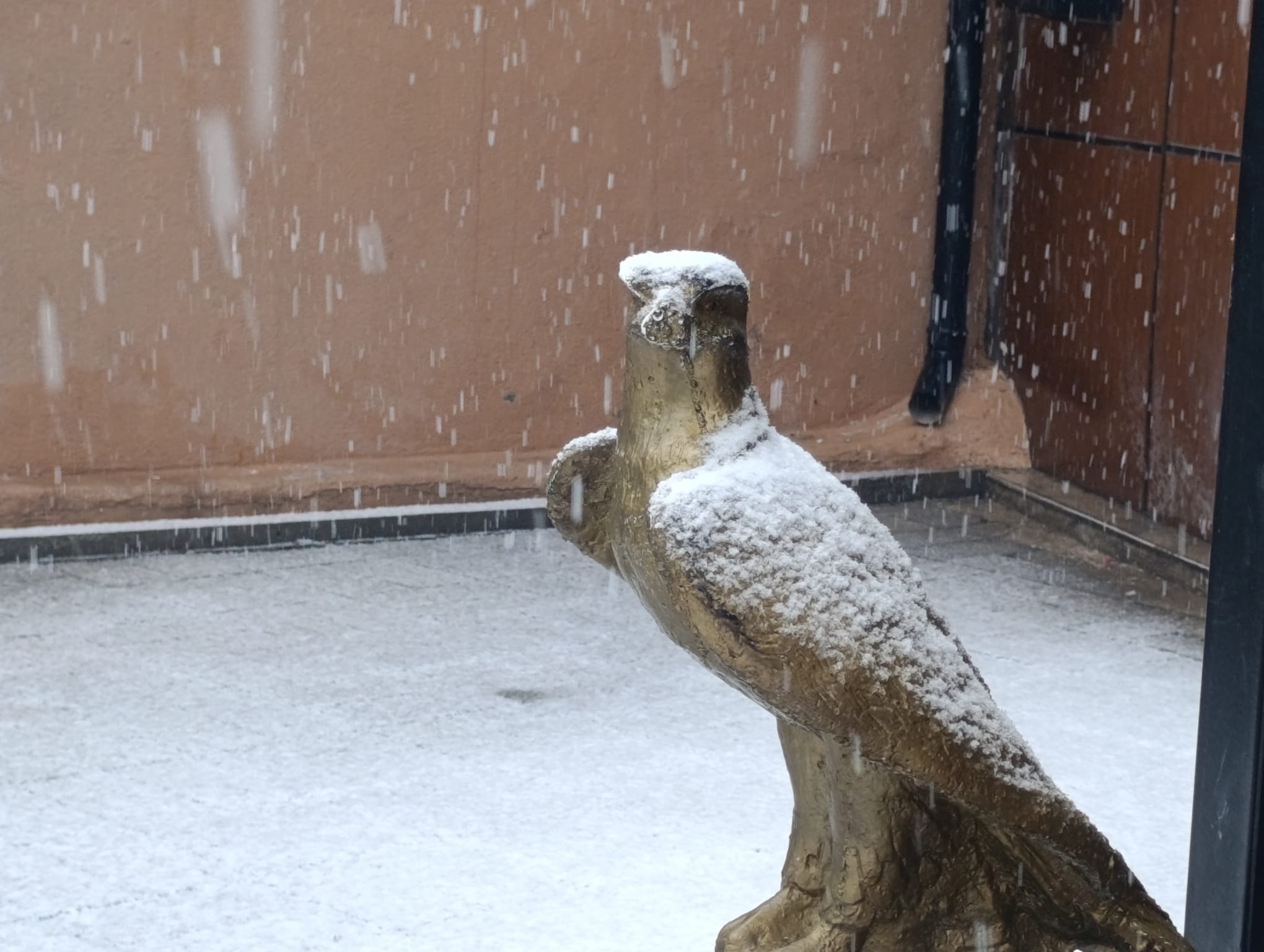 Whatsapp Image 2026 02 09 At 09.36.22