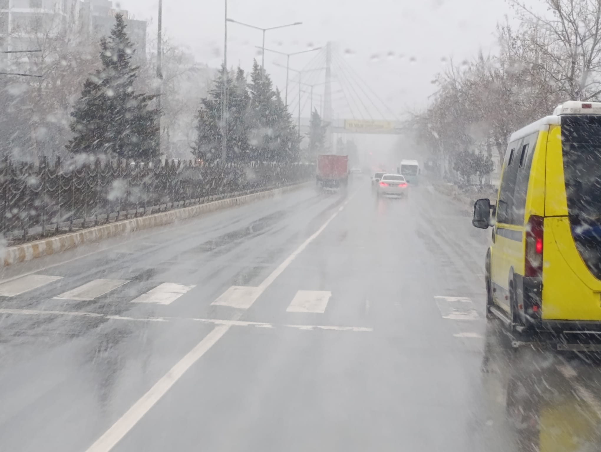 Whatsapp Image 2026 02 09 At 09.36.30