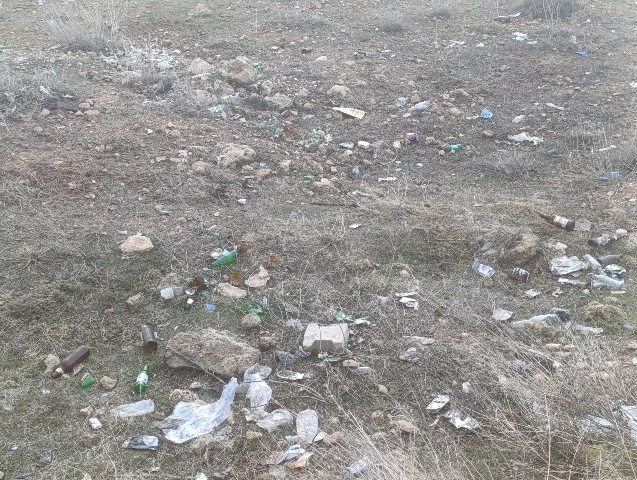 17877E88 95A2 49Dd A9E5 66053149562D