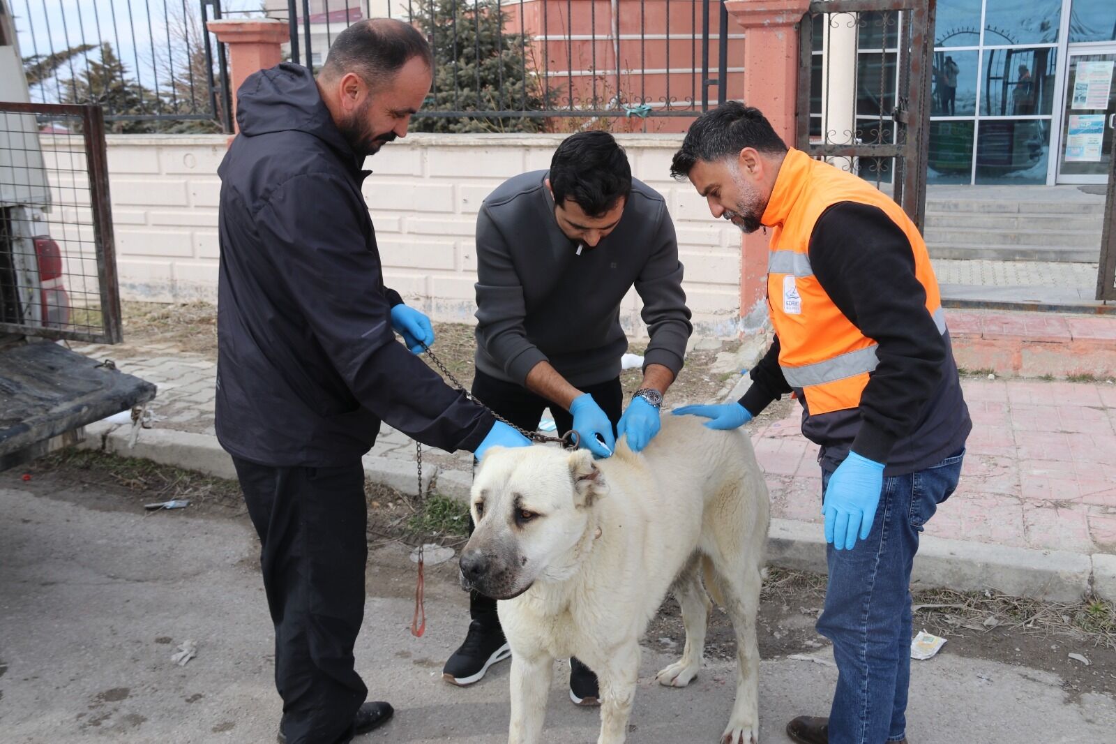 1B8C59C7 0Def 4078 87E1 Fdd24C000761