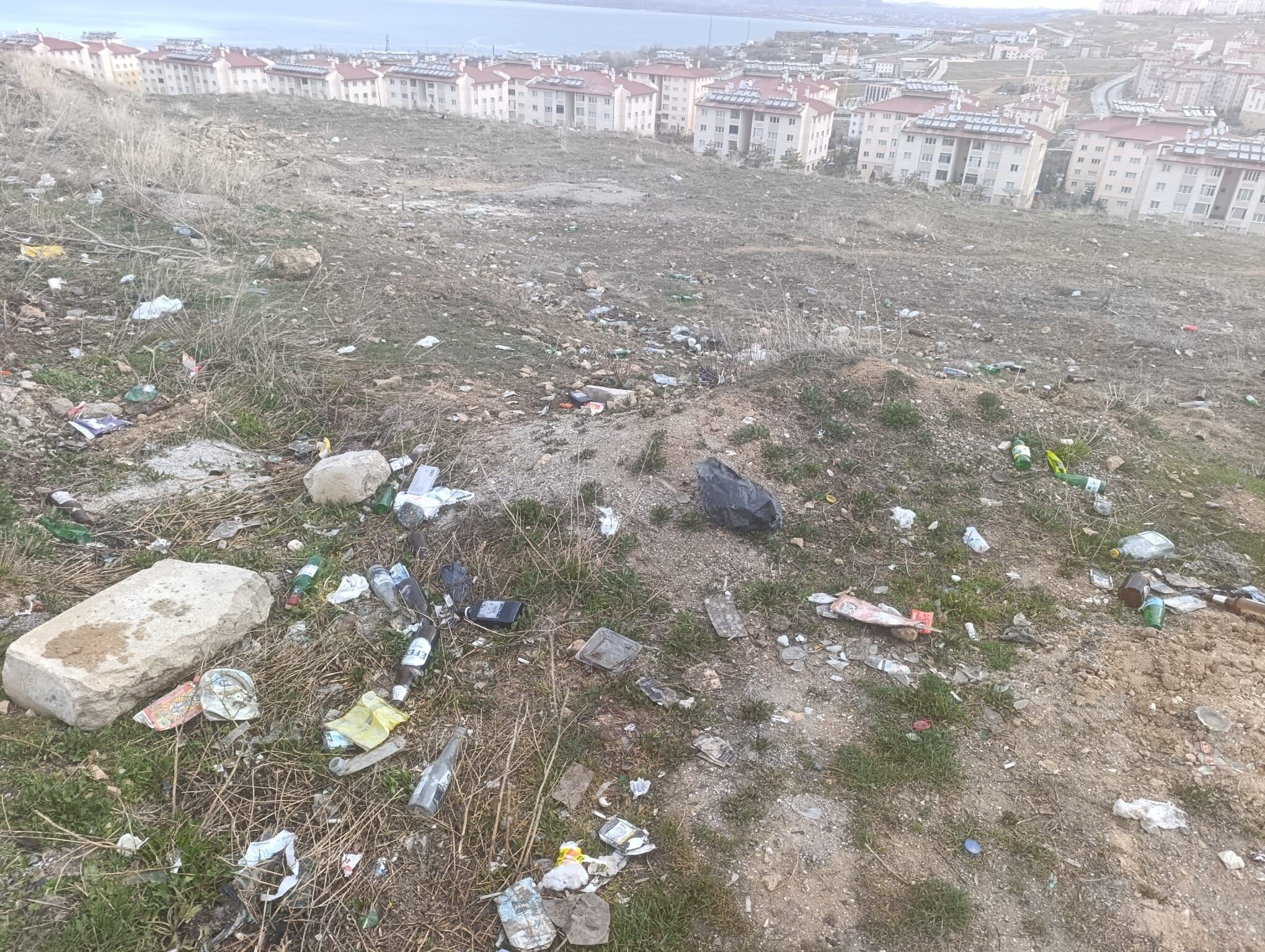 2E592Ec2 2D25 44F7 Bb6B Ed92219531Cd