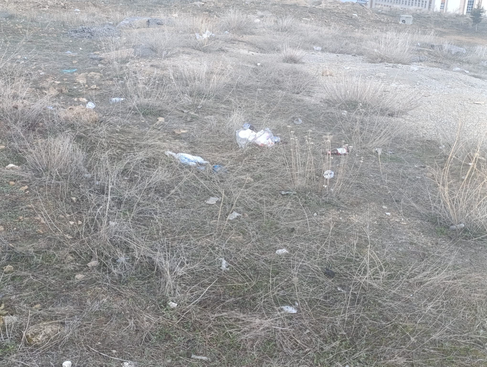 3A567282 796D 4F10 92A4 778De3786Cb0