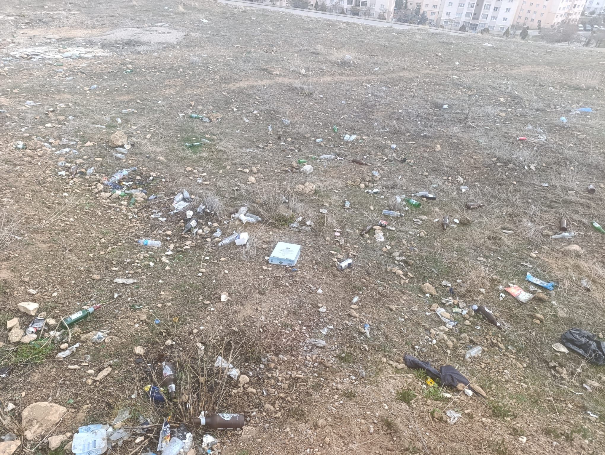 3Fd50Bf7 A05D 4Dc2 A7Ed 5606Abead9Ce