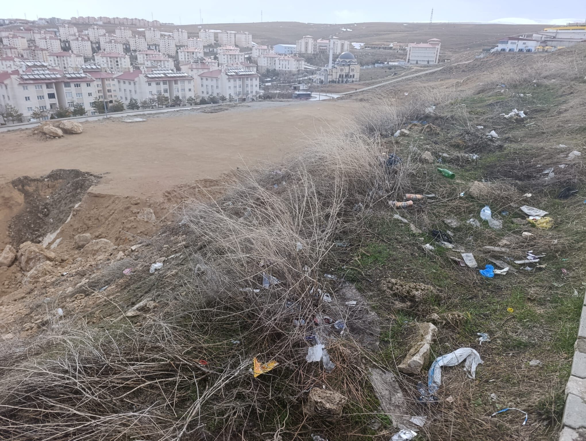 553123E2 Aebc 4606 9Ec4 Dd9994B0C12A