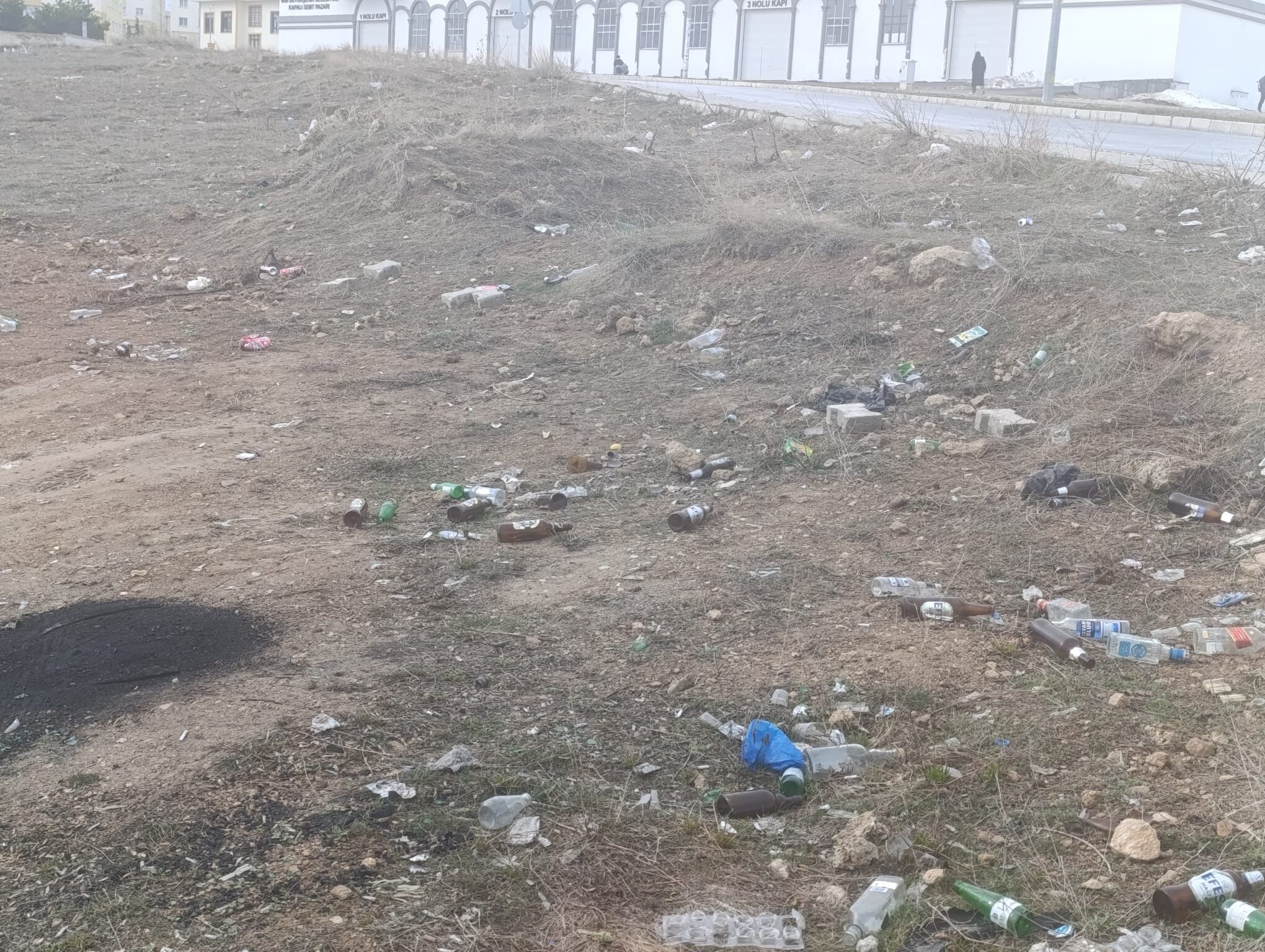 6017319A Adaa 437A 9Ba9 0D3Ea5Ff4254